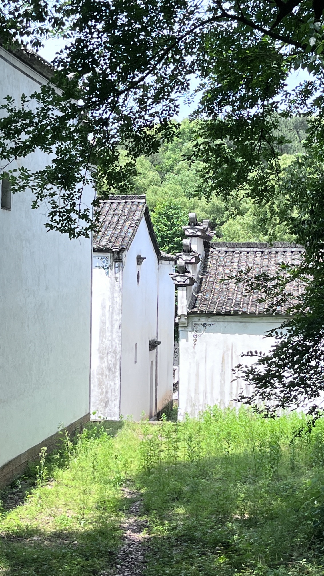 龙游民居苑旅行图片 1