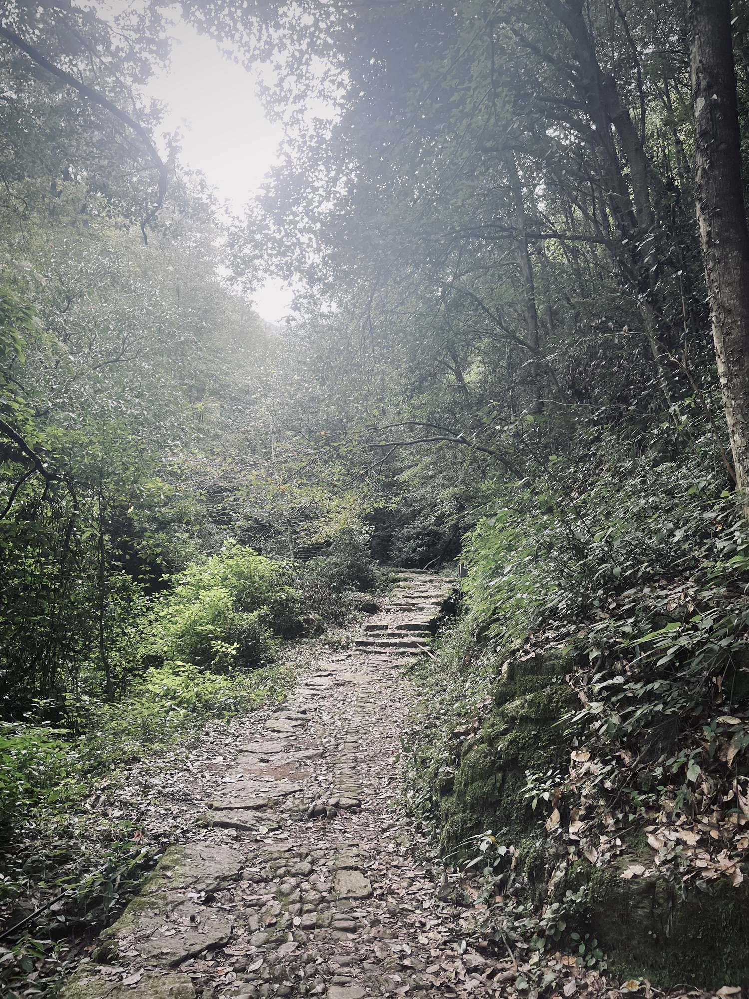 东坪古道旅行图片 2