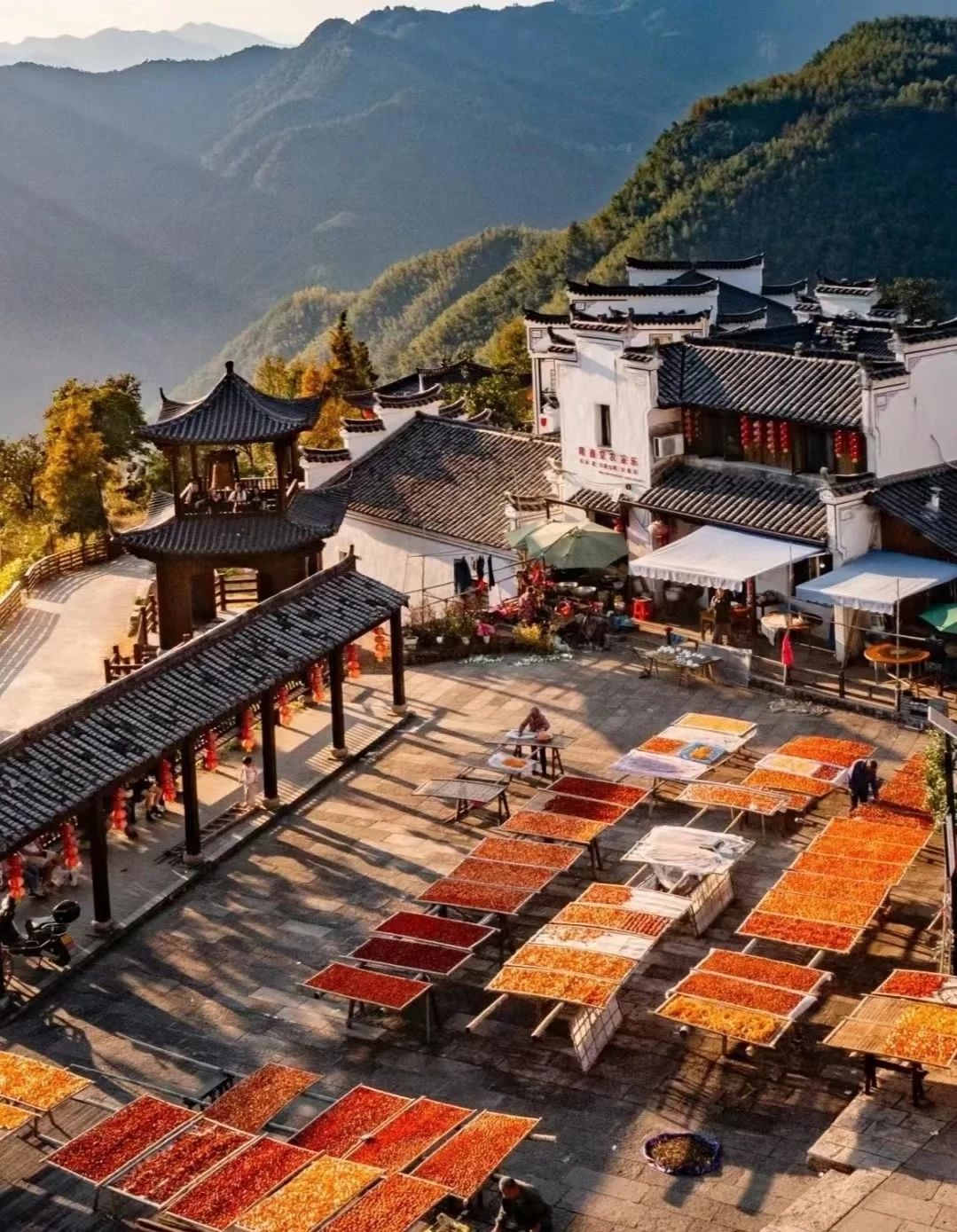东坪古道旅行图片 3