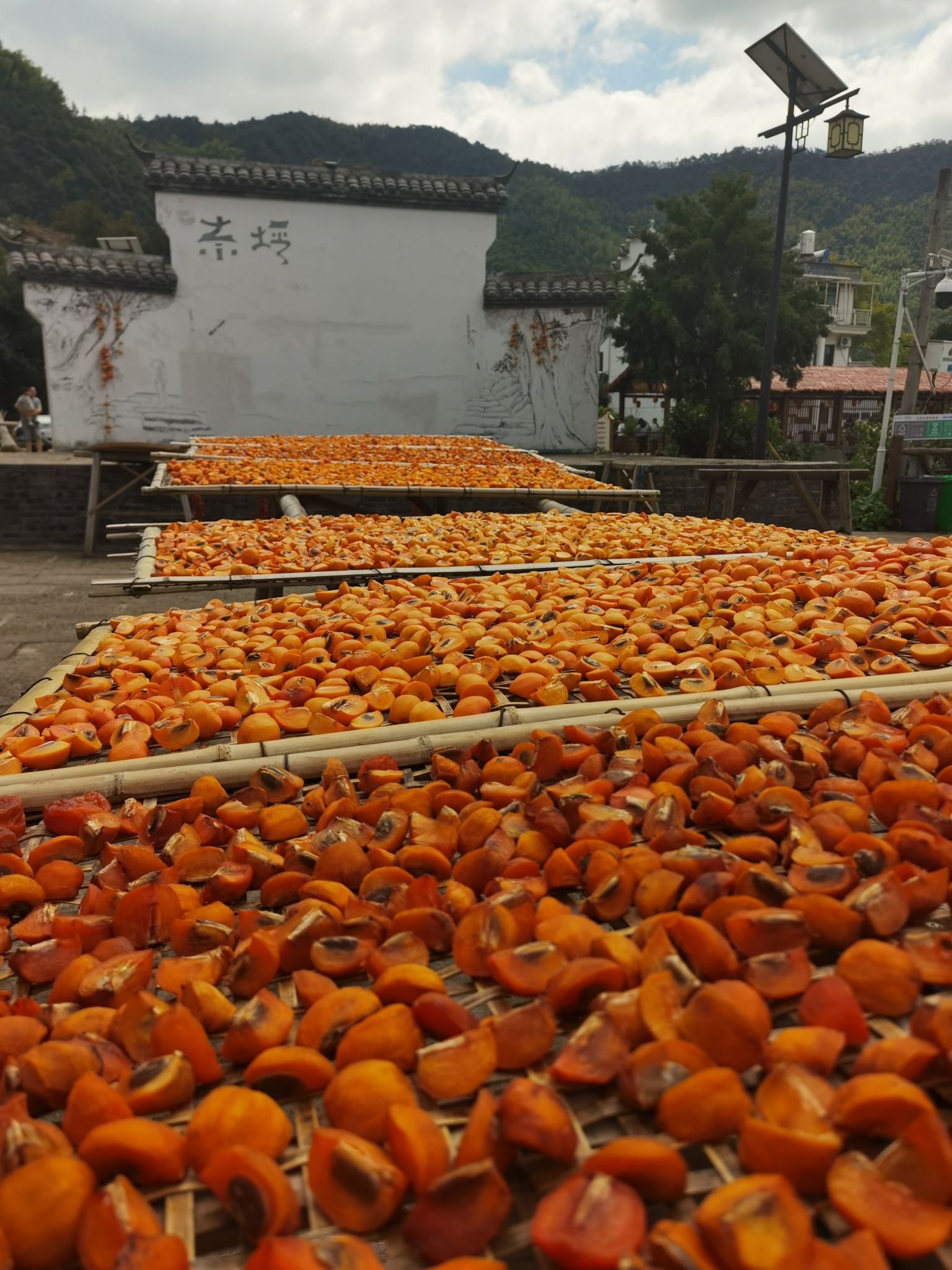 东坪古道旅行图片 3