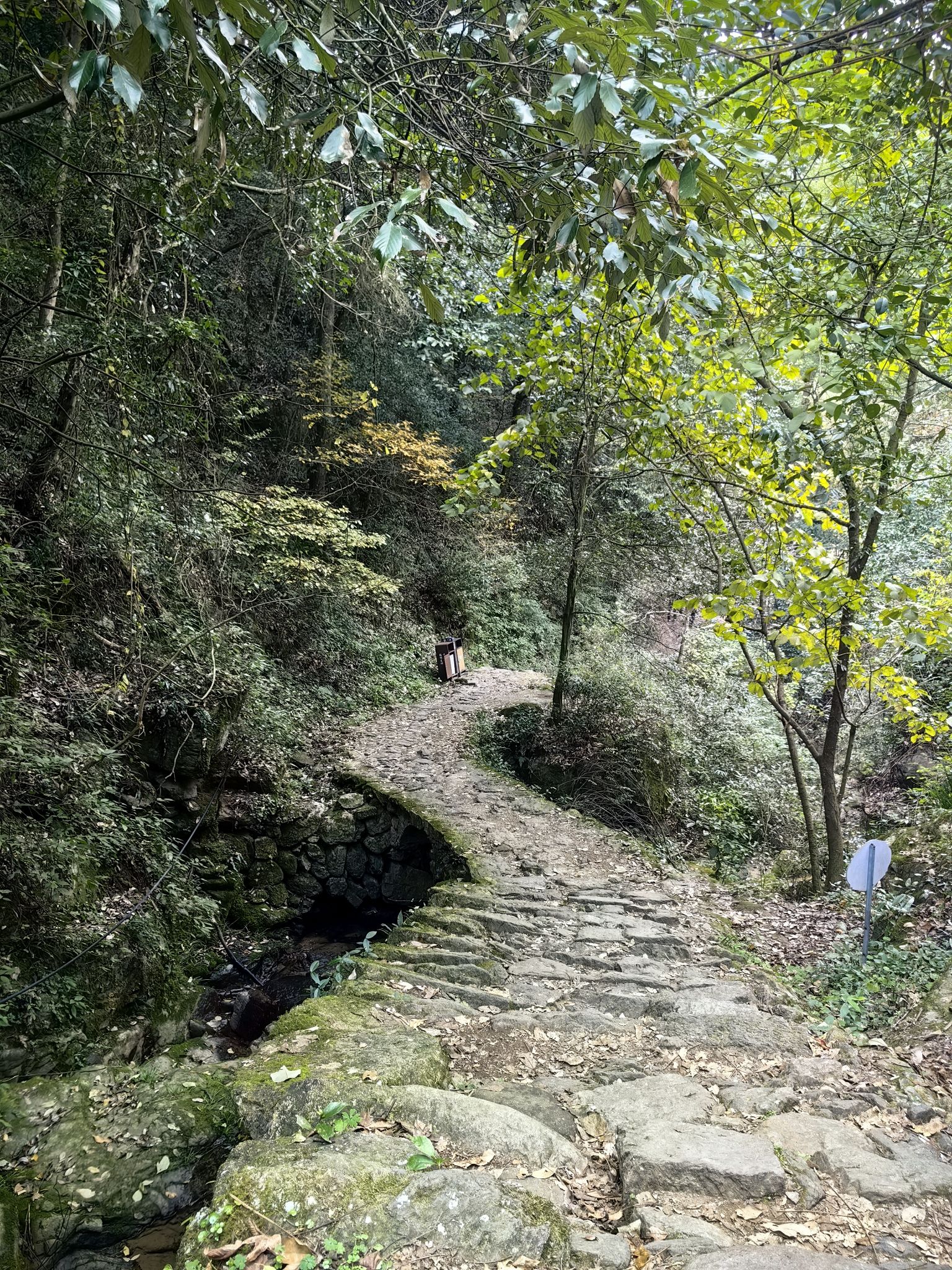 东坪古道旅行图片 1
