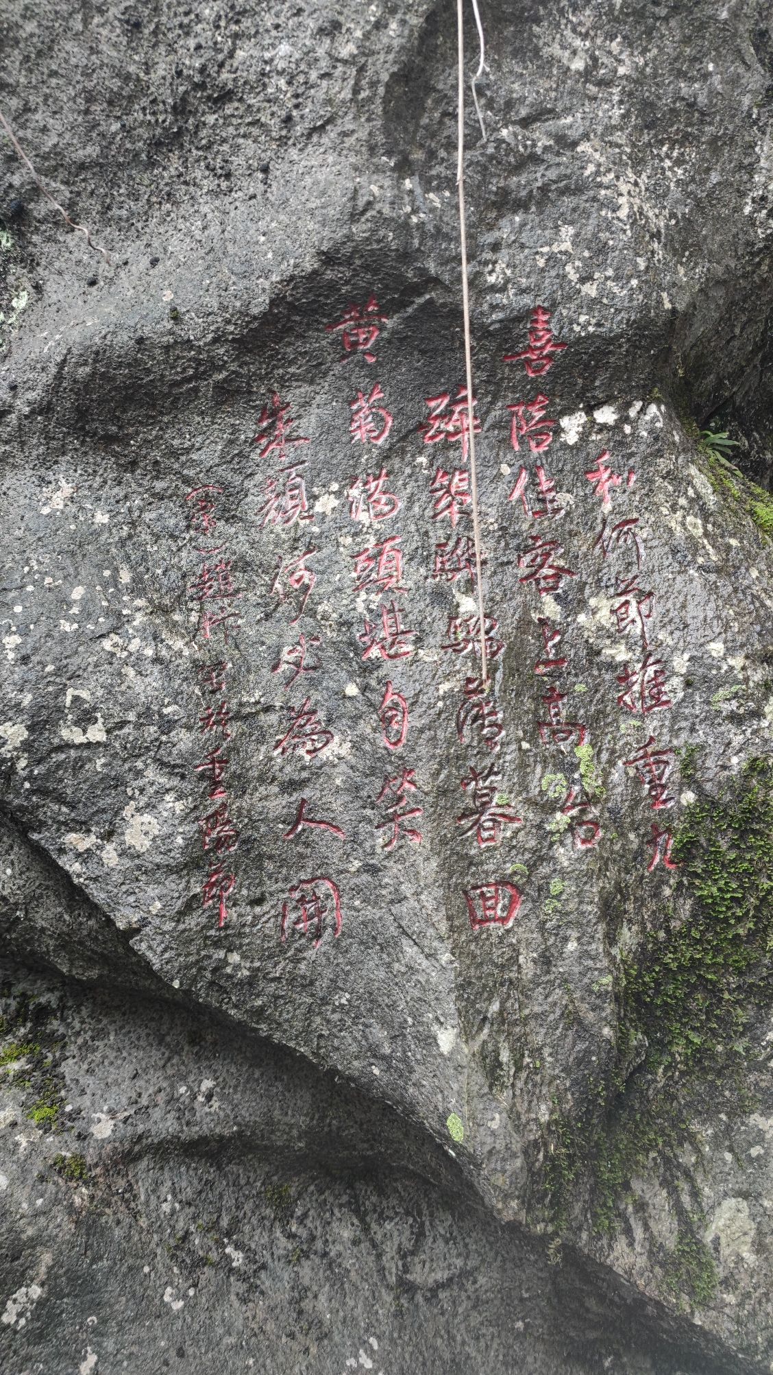 三衢石林风景区旅行图片 3