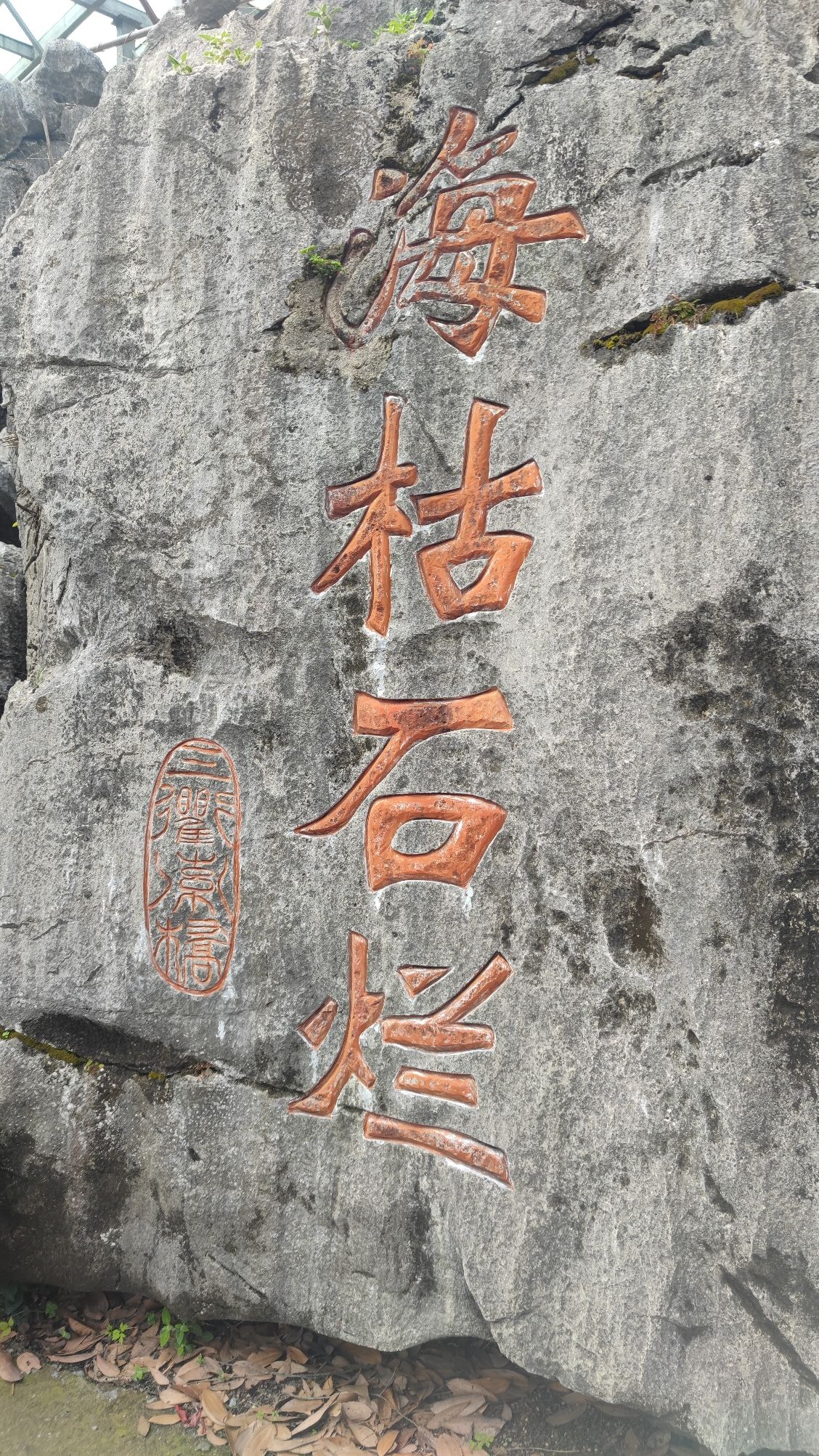 三衢石林风景区旅行图片 1