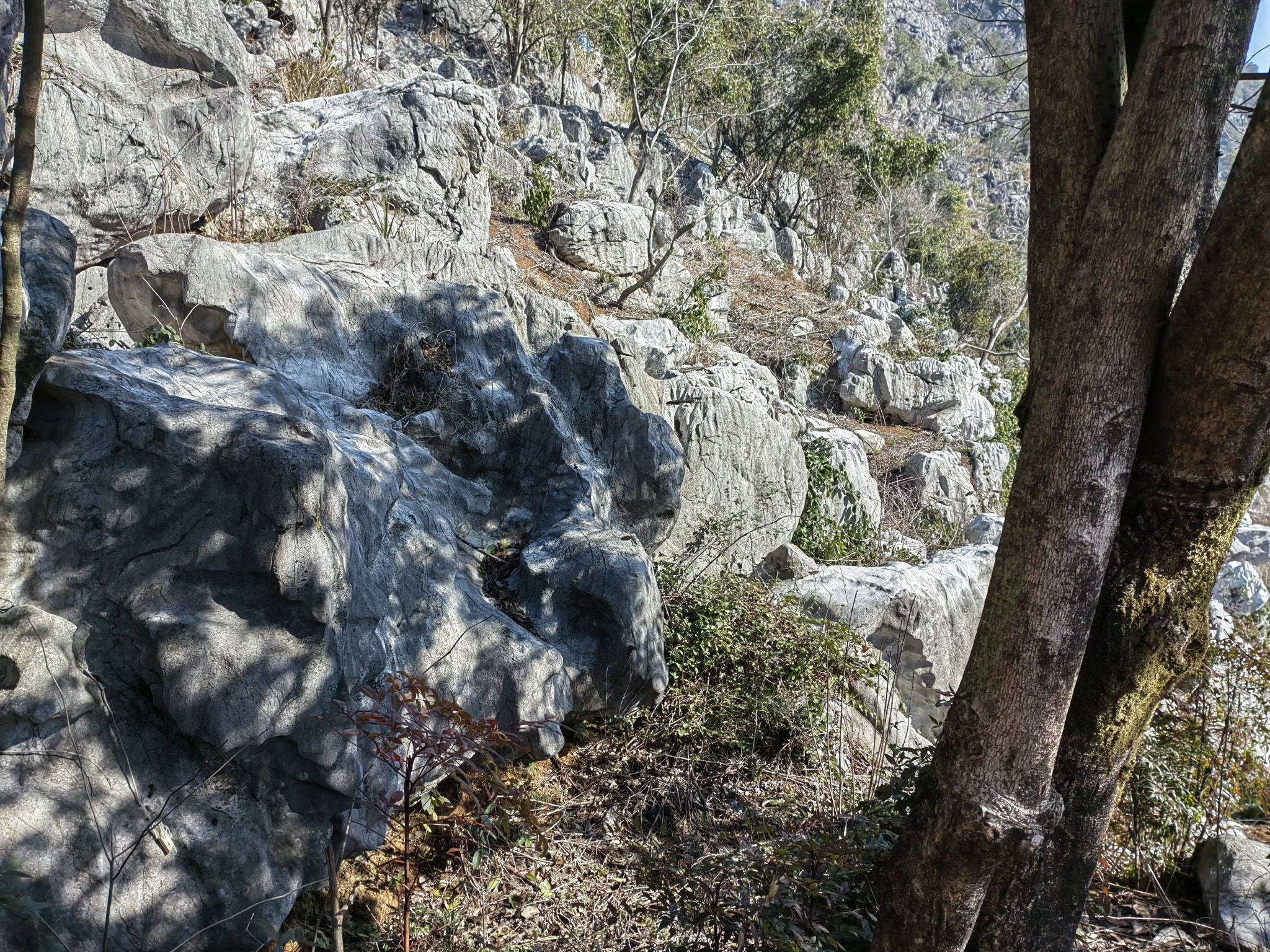 三衢石林风景区旅行图片 2
