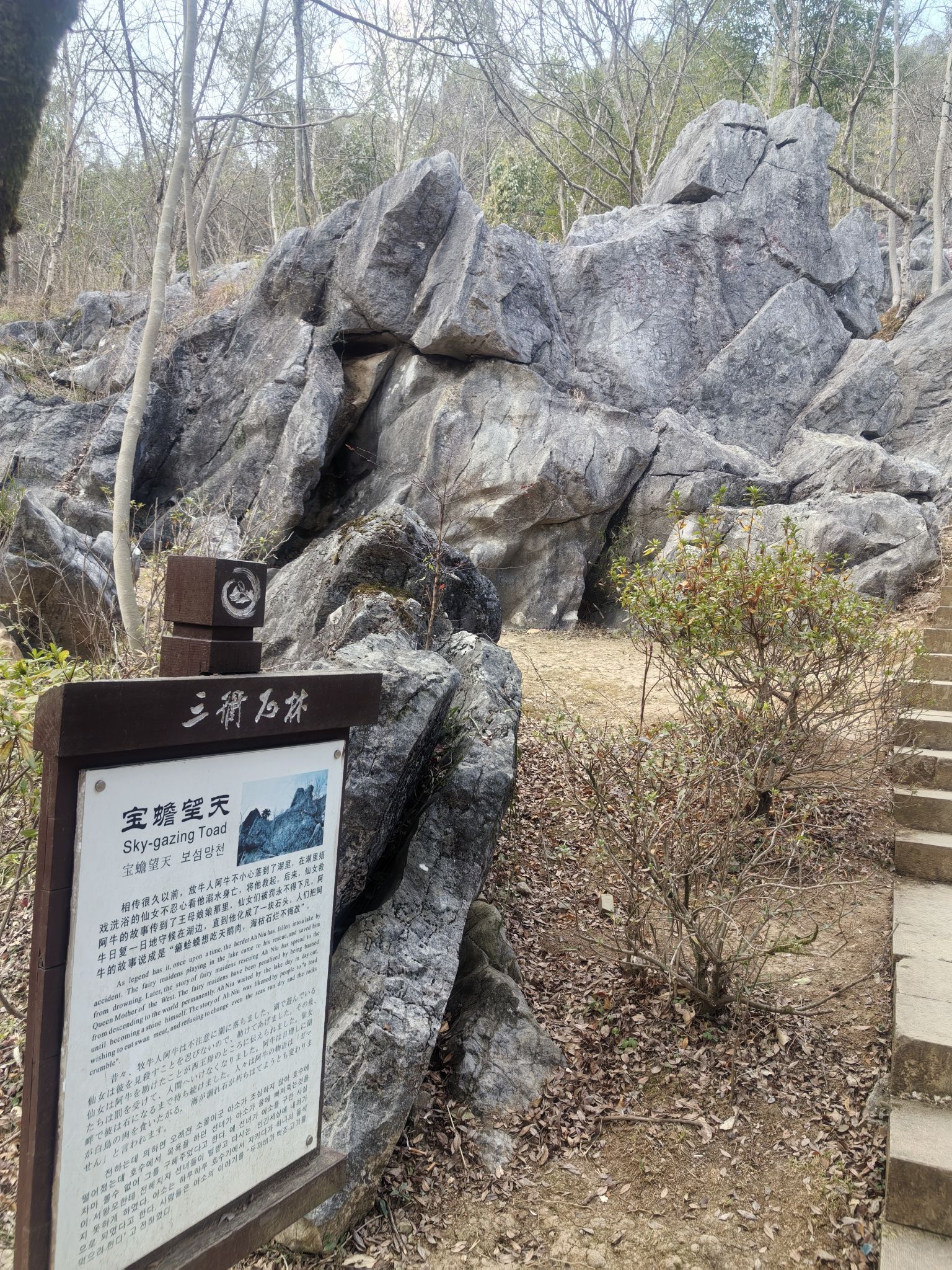 三衢石林风景区旅行图片 3