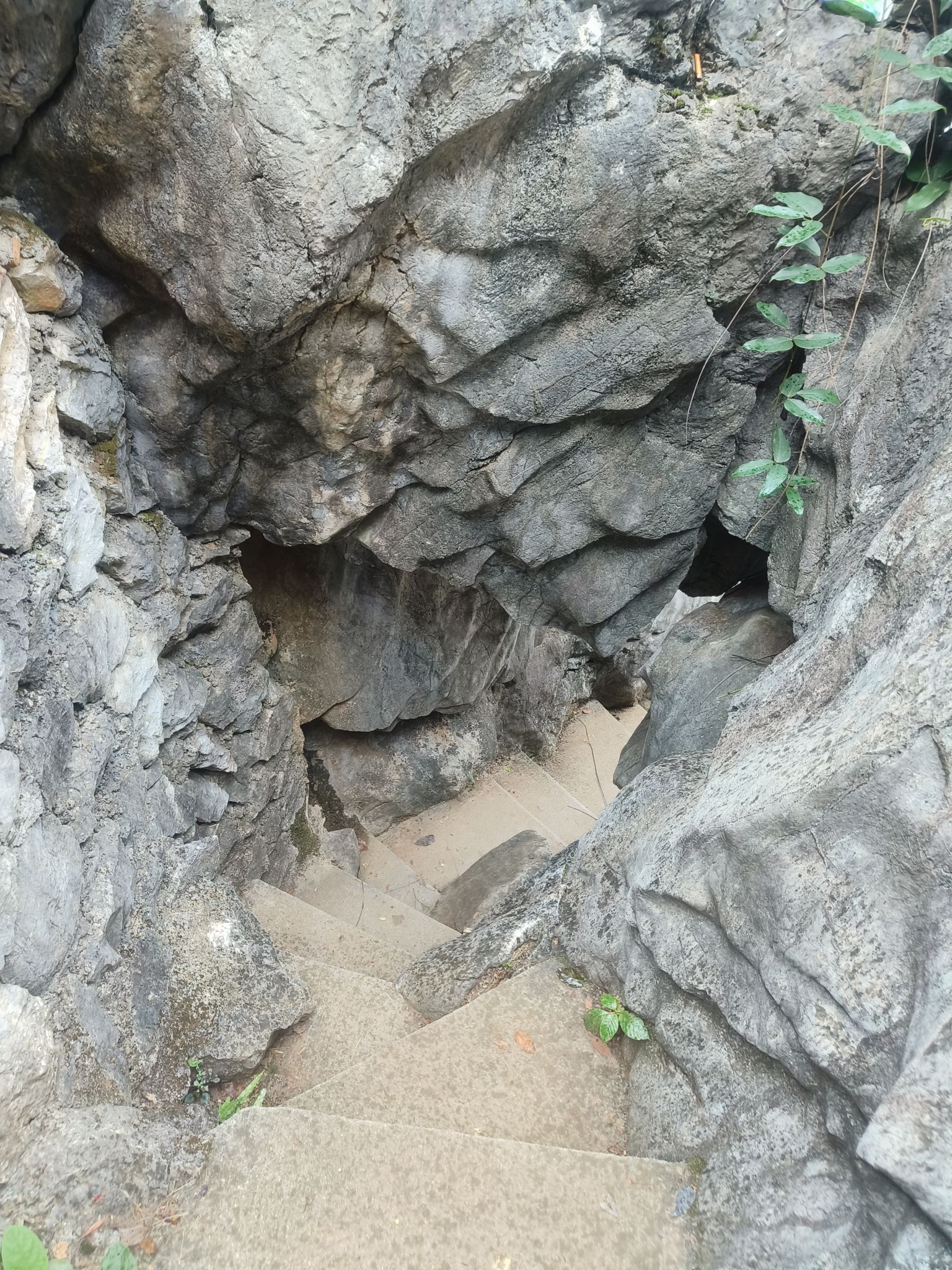 三衢石林风景区旅行图片 3