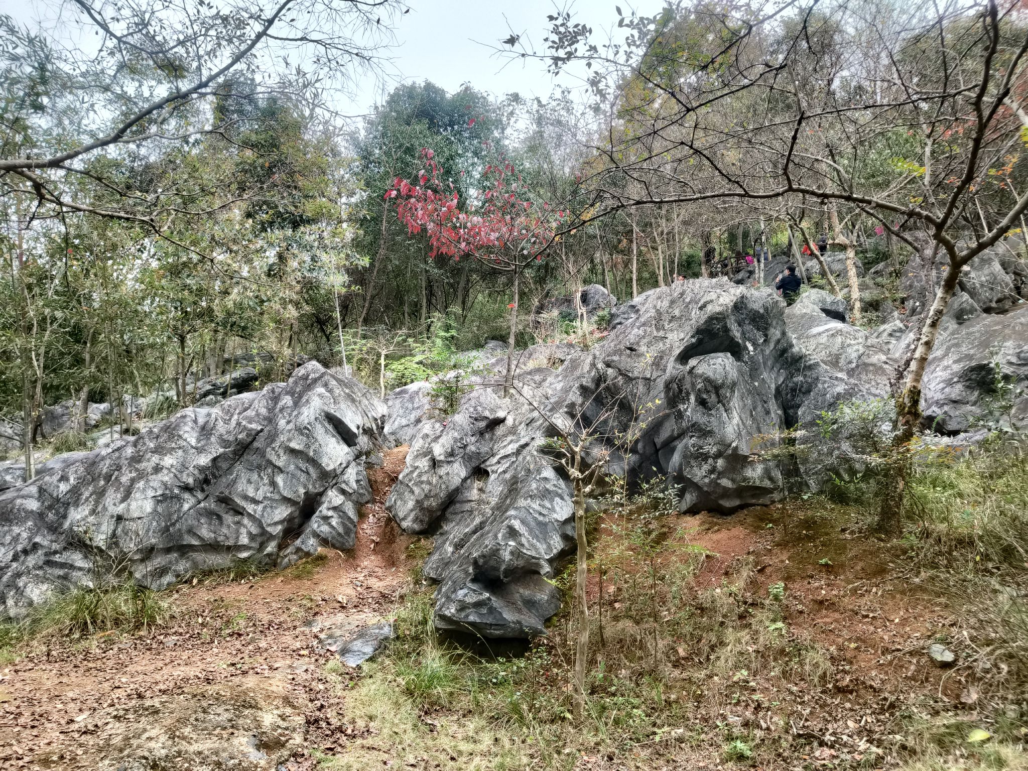 三衢石林风景区旅行图片 1