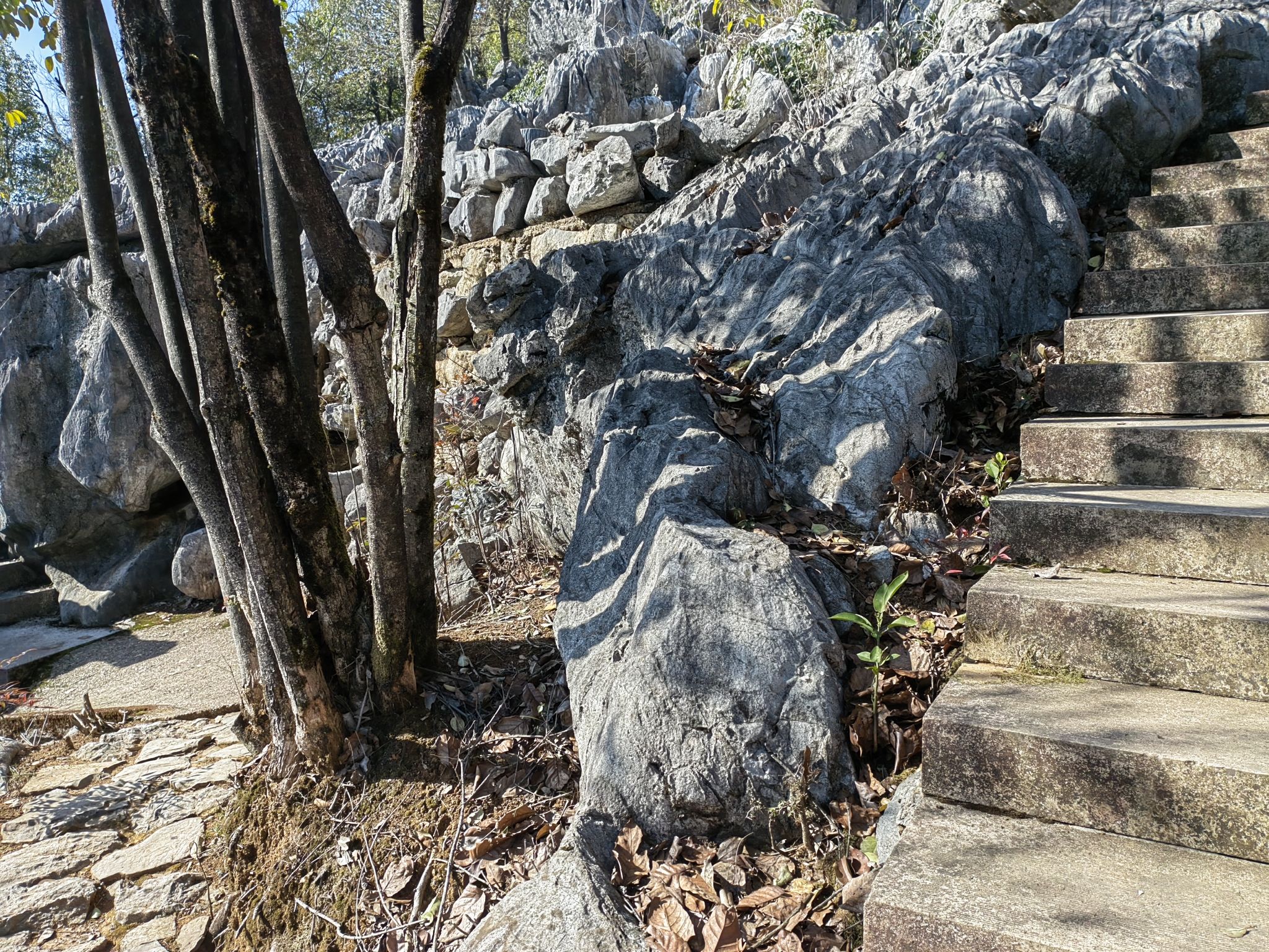 三衢石林风景区旅行图片 1