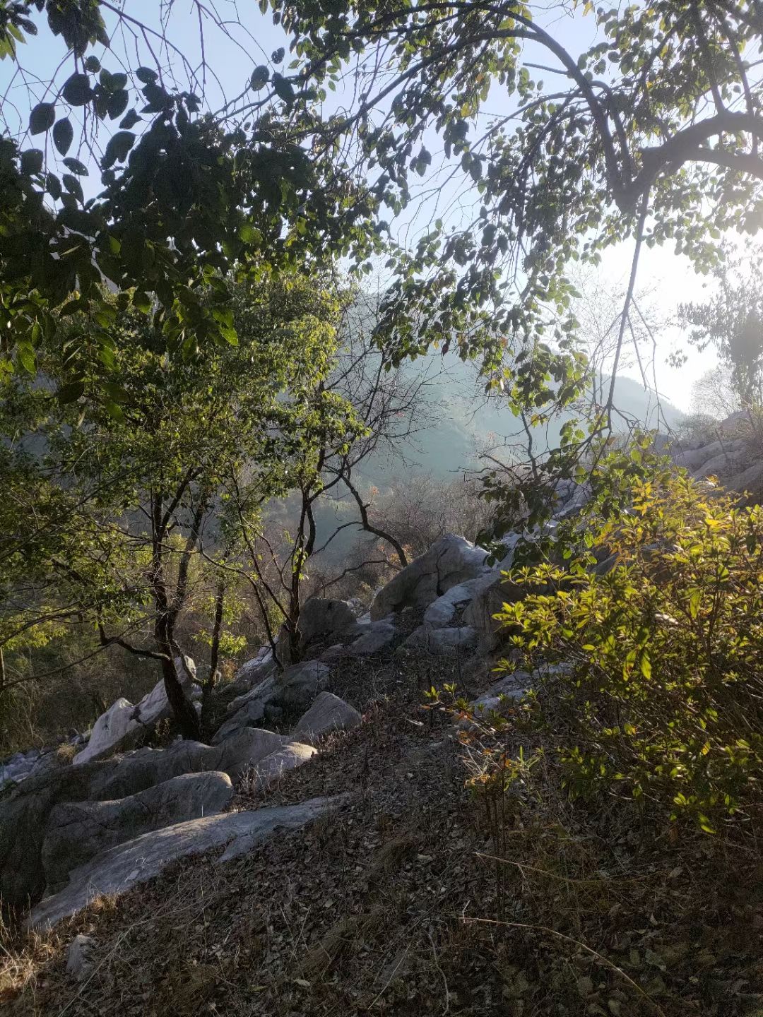 三衢石林风景区旅行图片 3