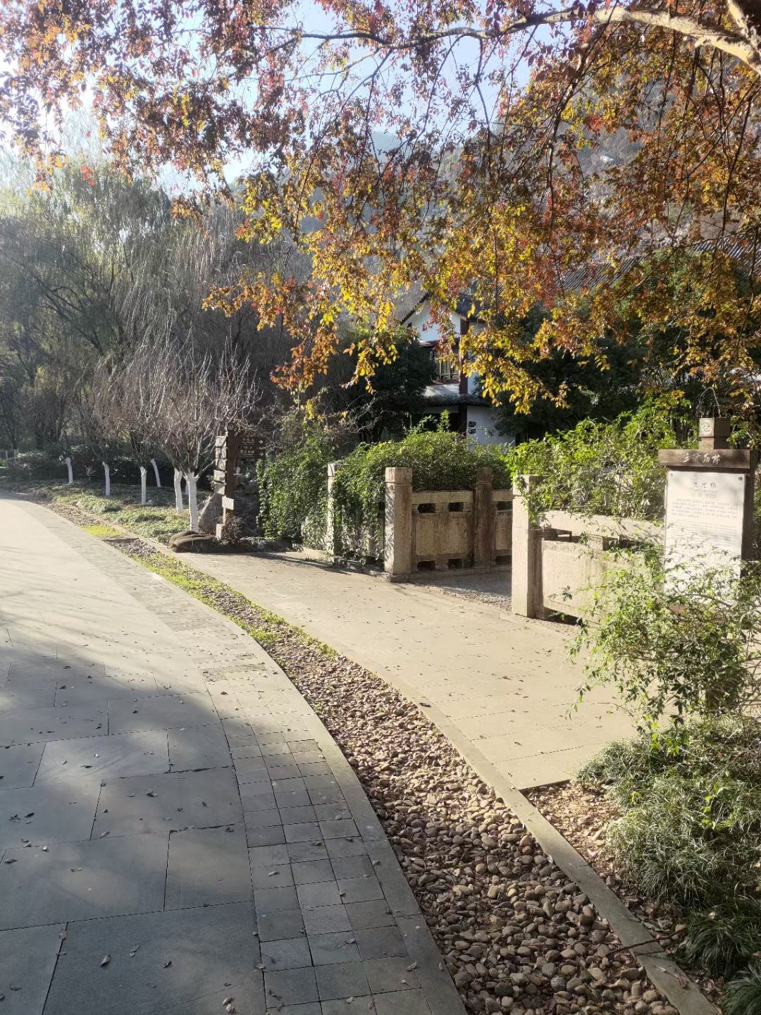 三衢石林风景区旅行图片 1