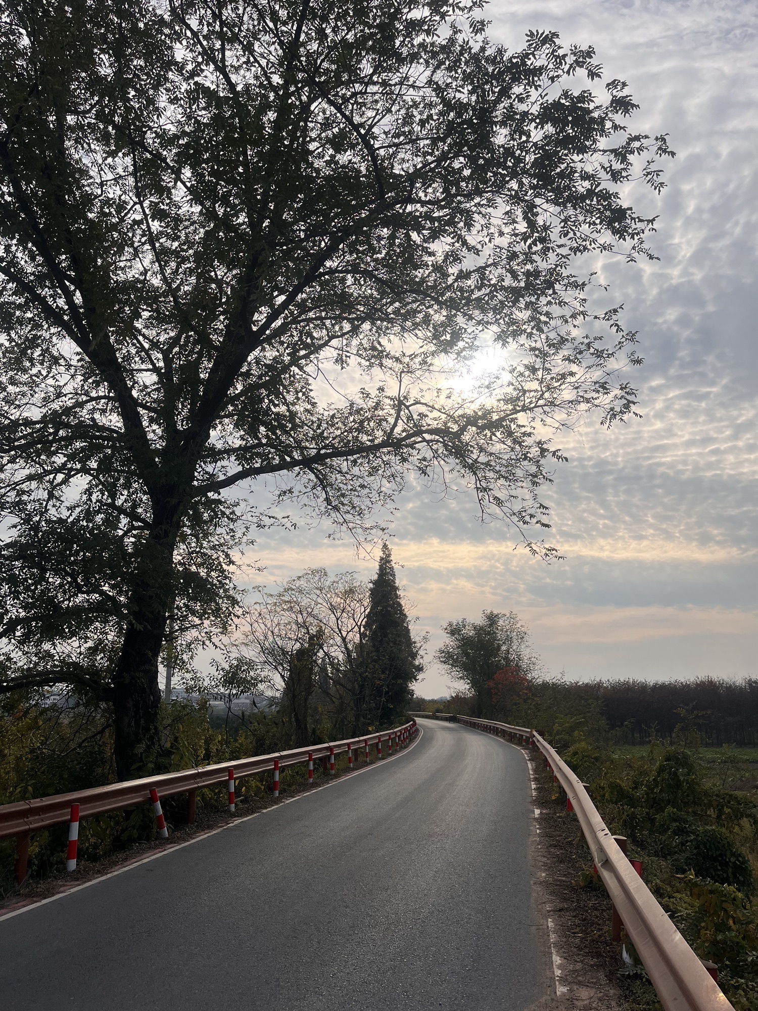 浙西大草原古名酒文化村旅行图片 3