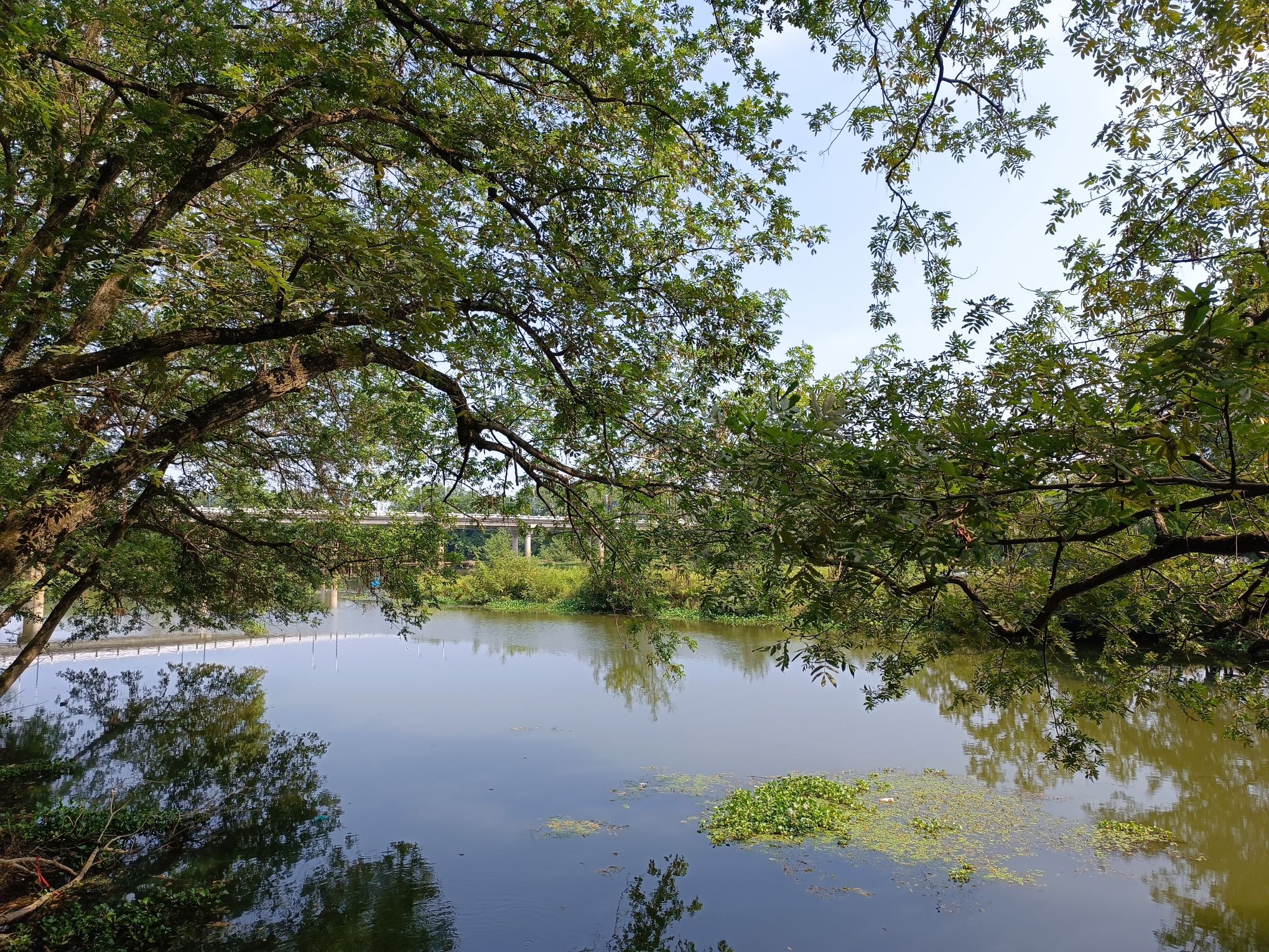 浙西大草原古名酒文化村旅行图片 2