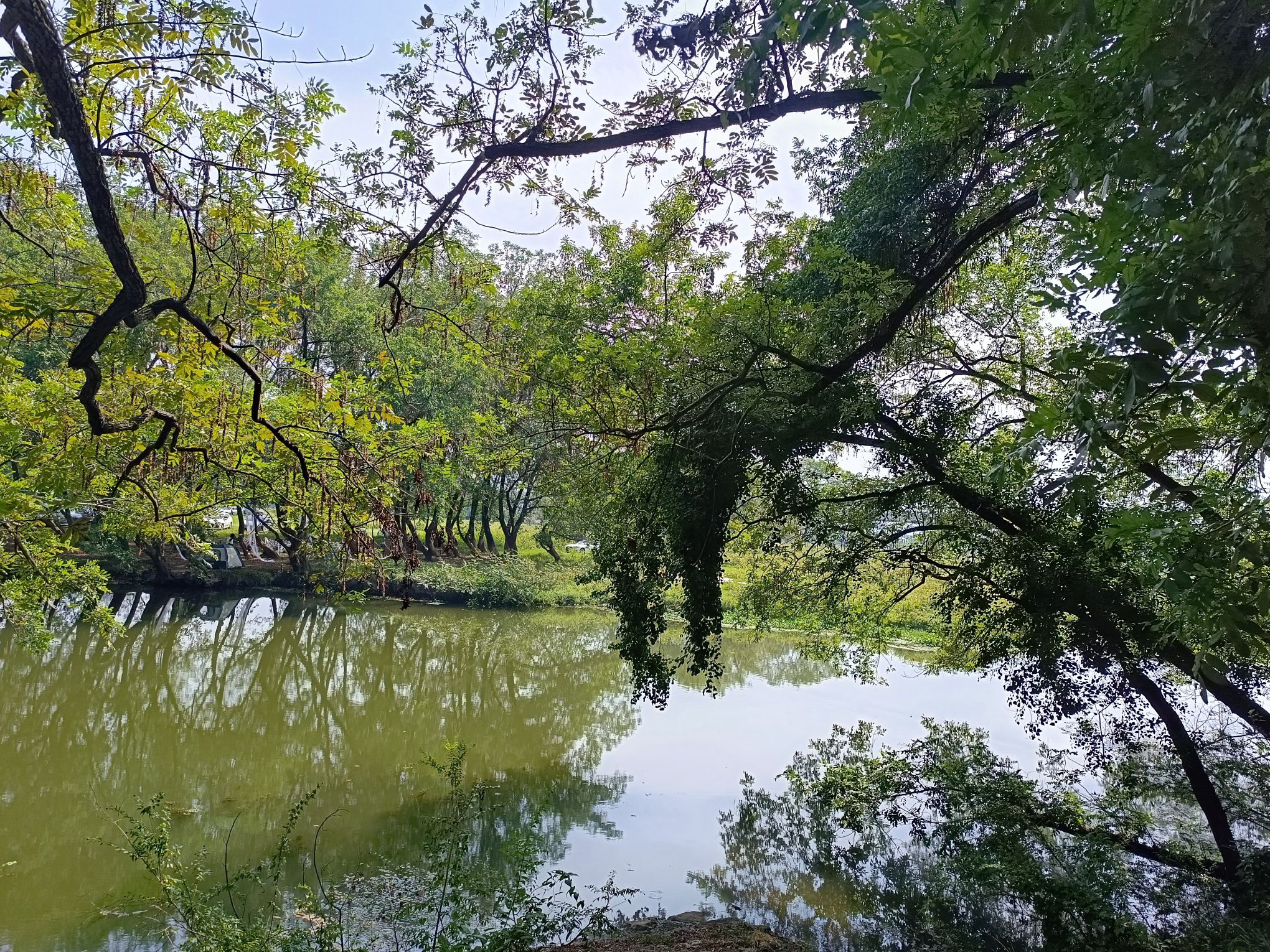 浙西大草原古名酒文化村旅行图片 3
