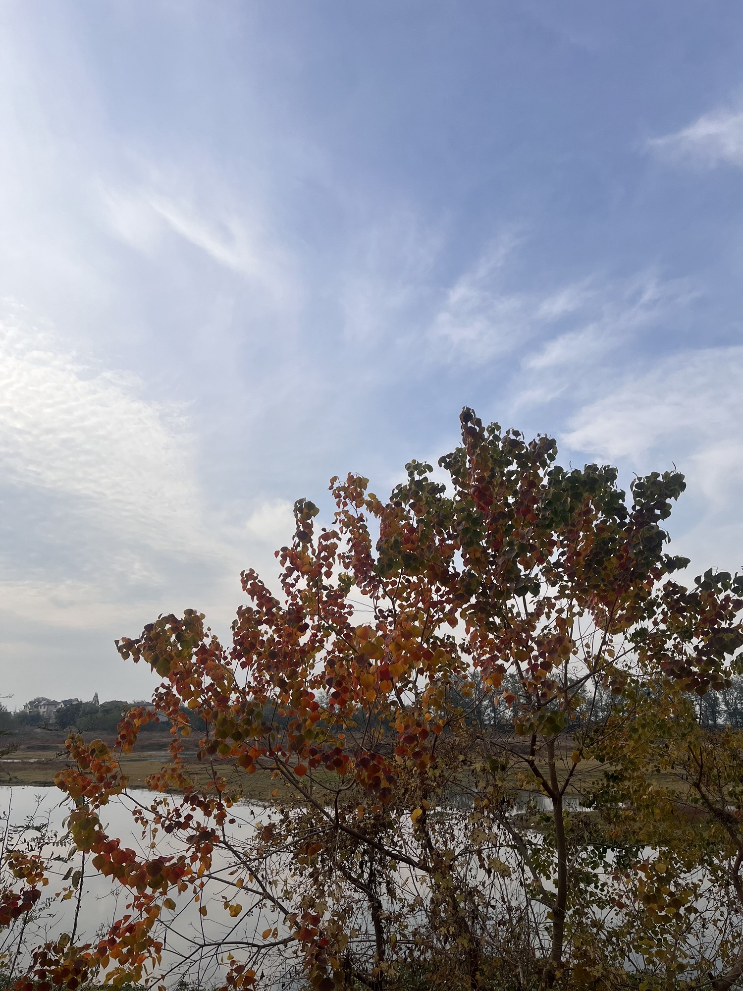 浙西大草原古名酒文化村旅行图片 2