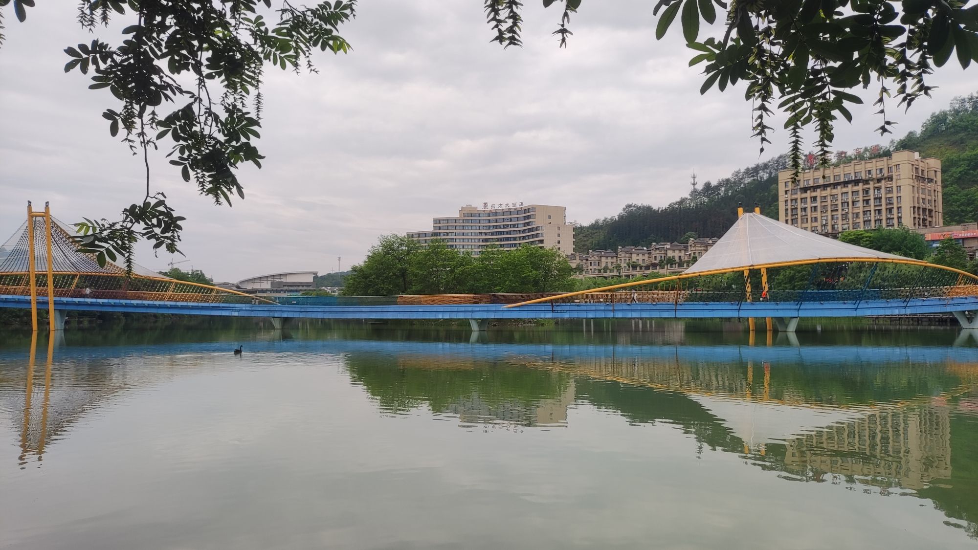 南湖岛景区旅行图片 1