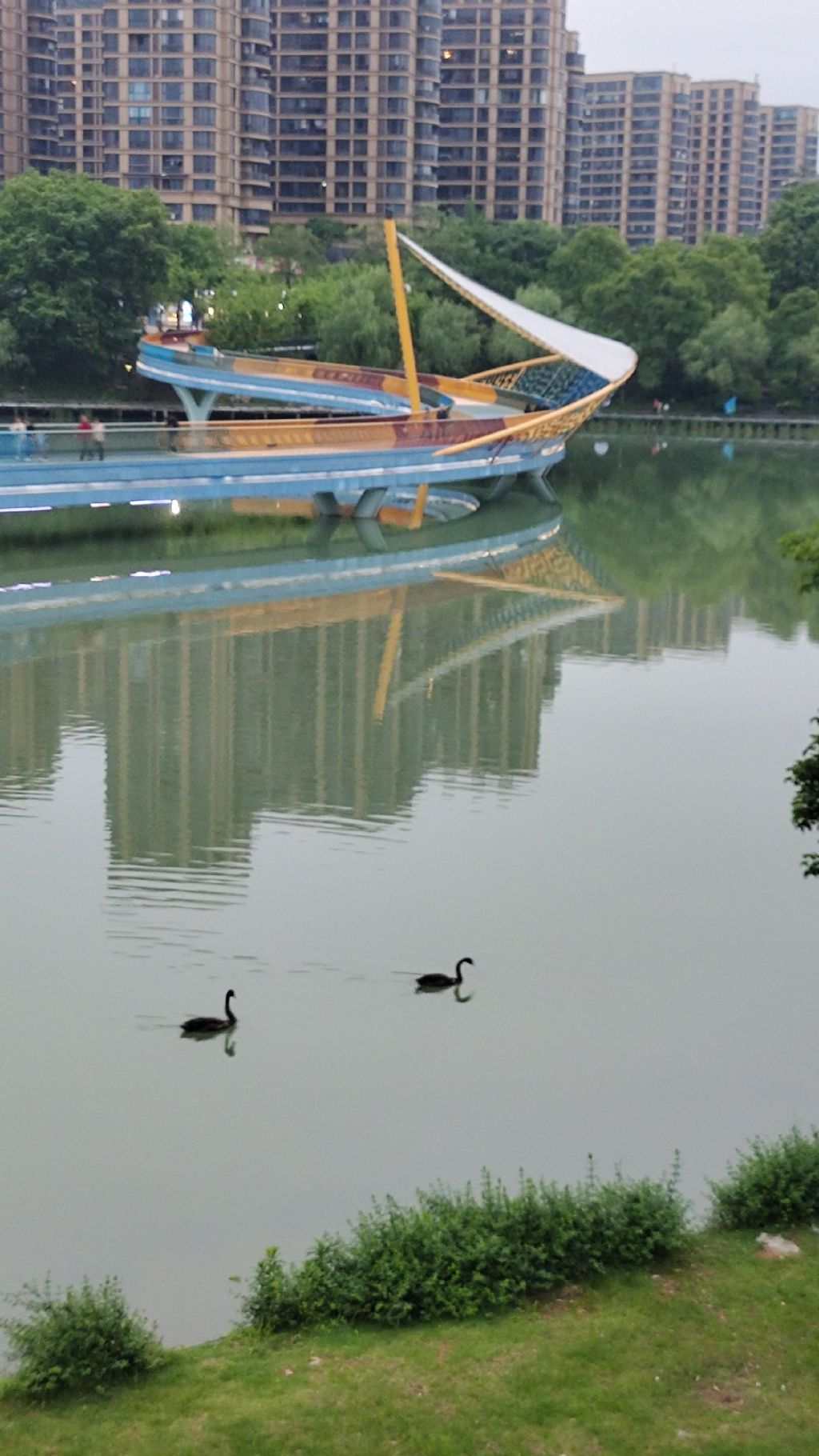 南湖岛景区旅行图片 2