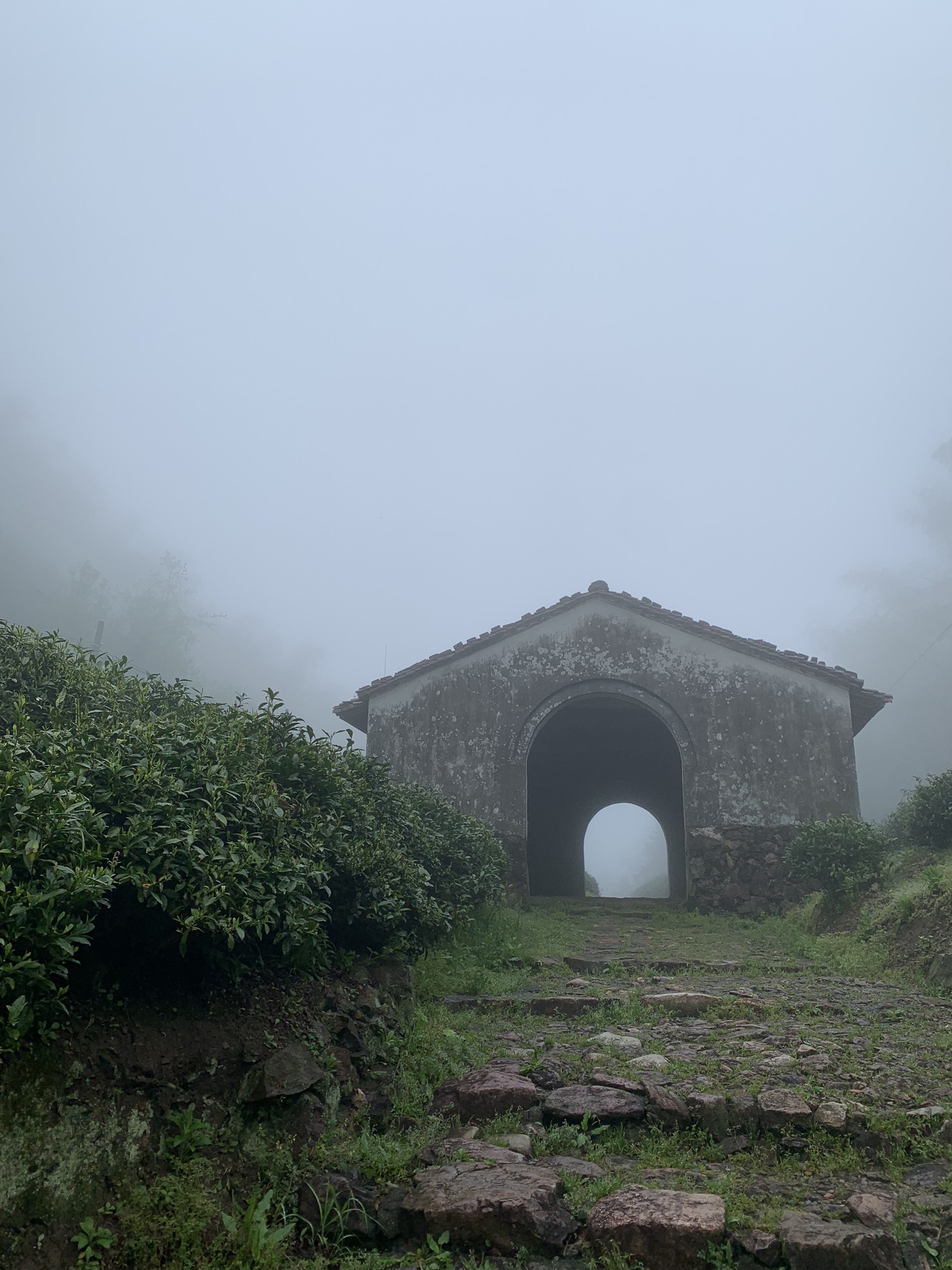 仙霞关风景区旅行图片 1