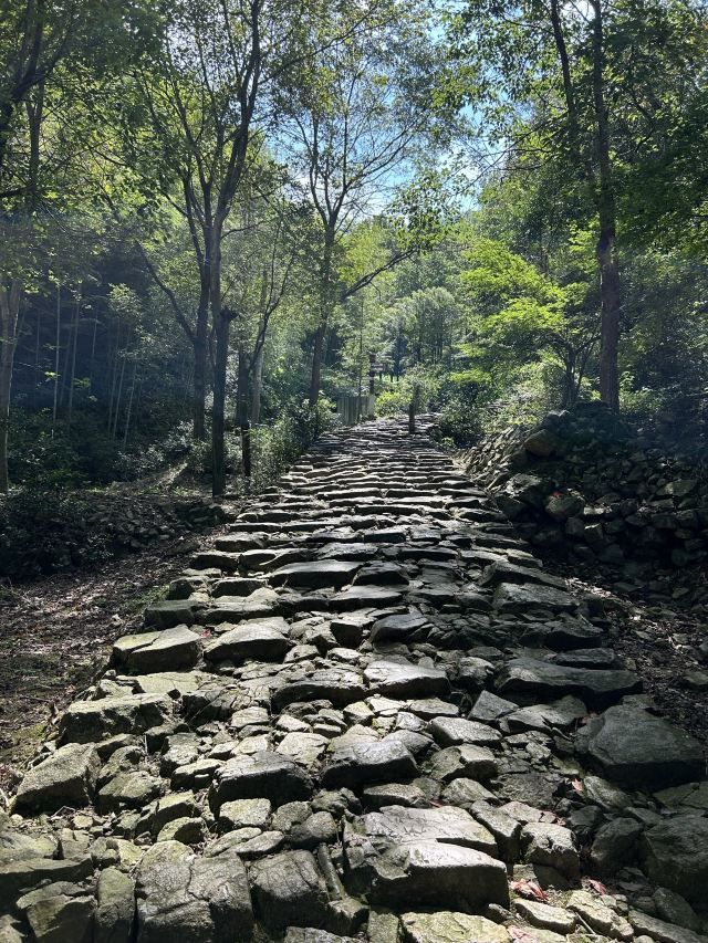 仙霞关风景区旅行图片 3