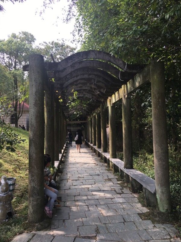 湘思岛景点旅行图片 3