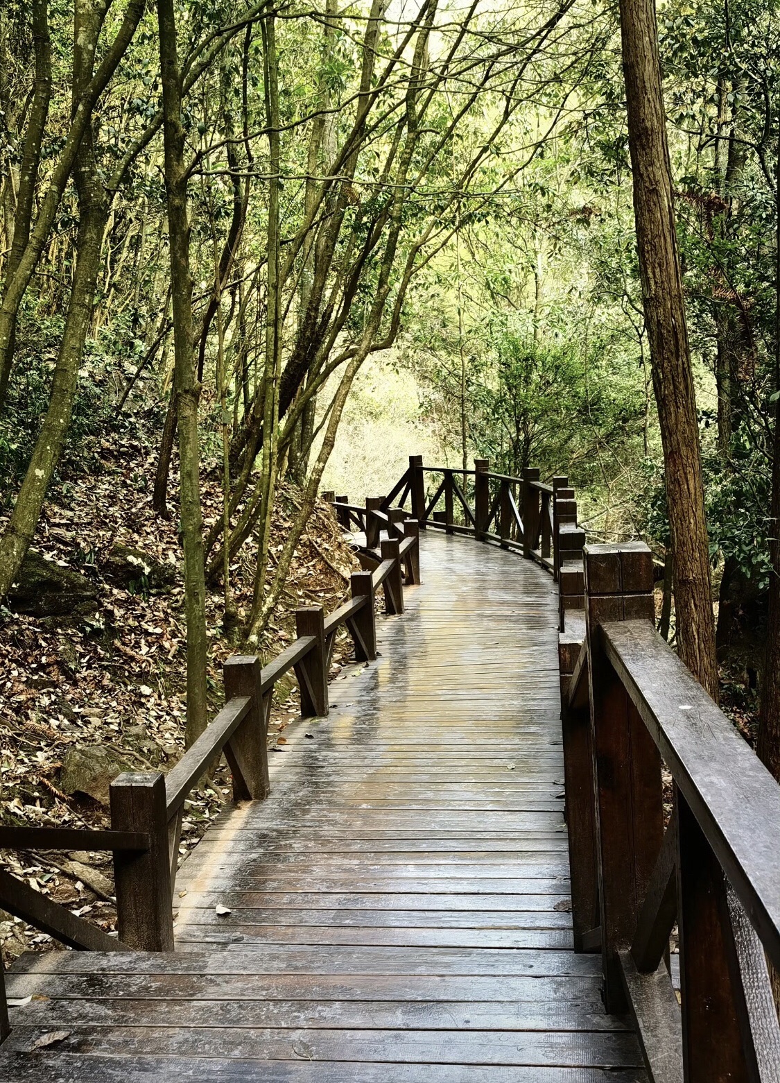 紫微山国家级森林公园