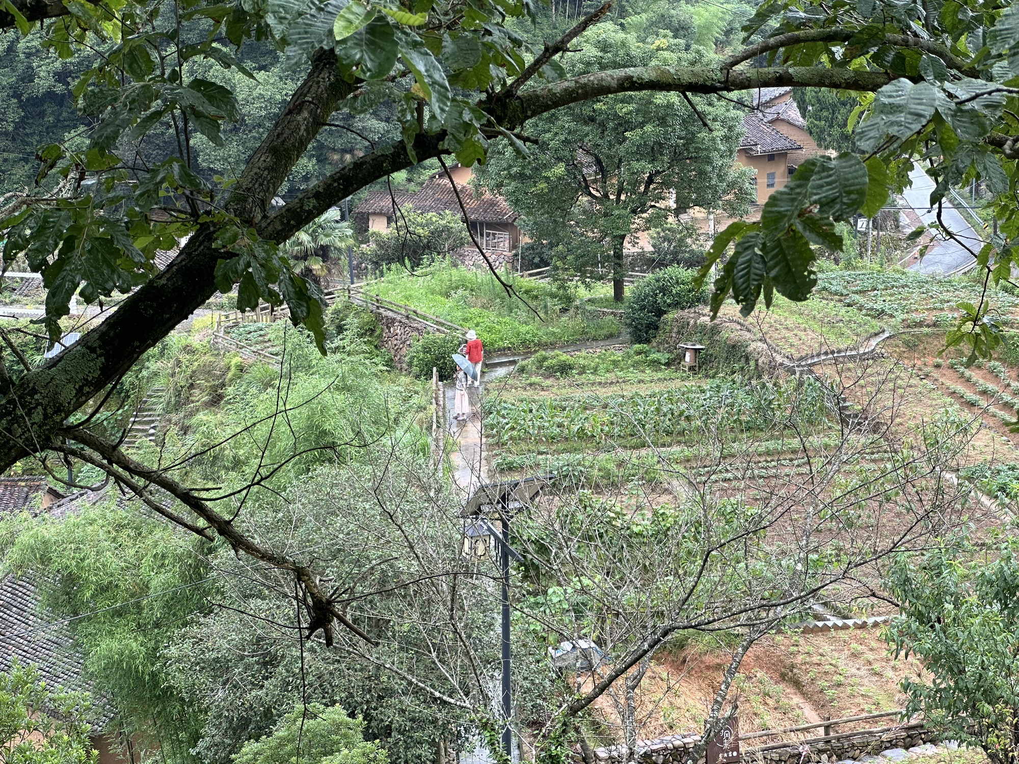 紫微山国家级森林公园旅行图片 3