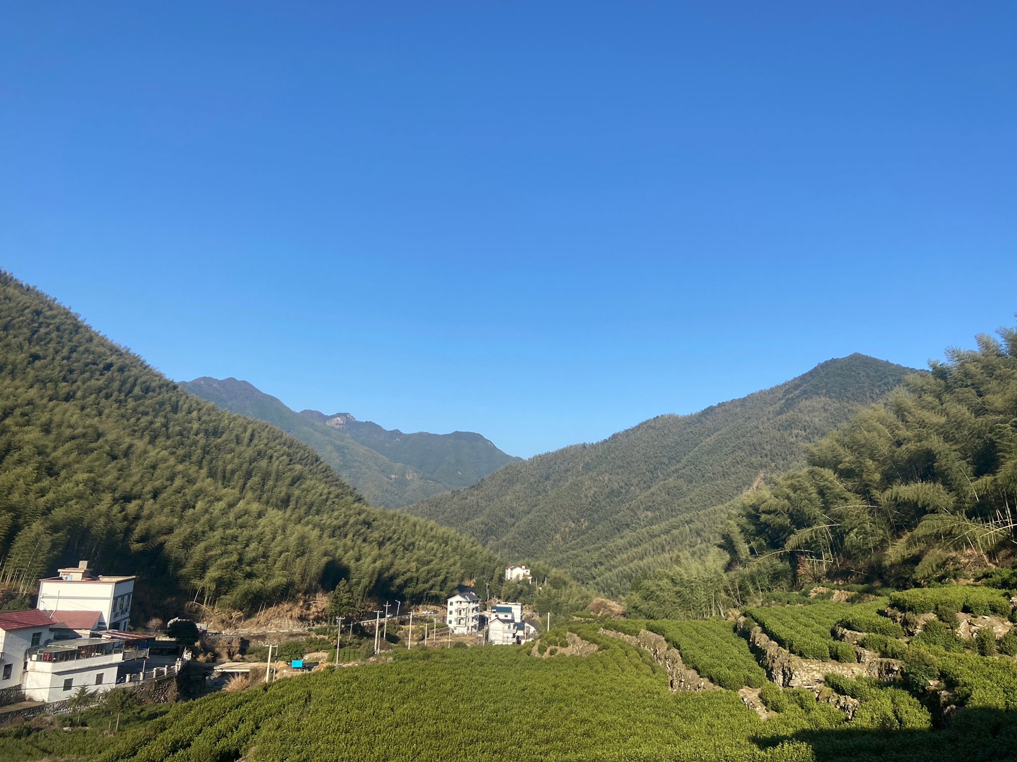 大竹海森林公园