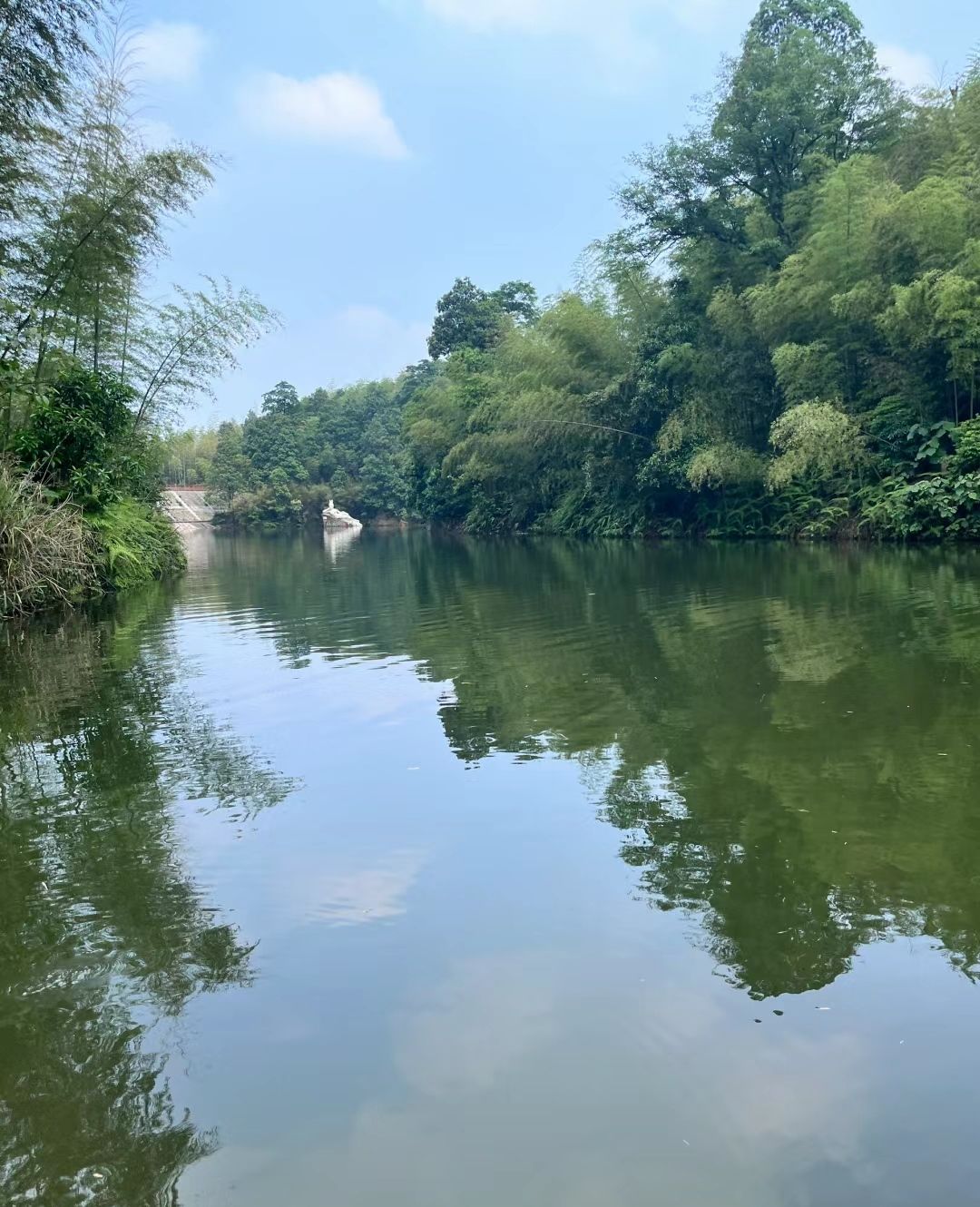 大竹海森林公园旅行图片 3