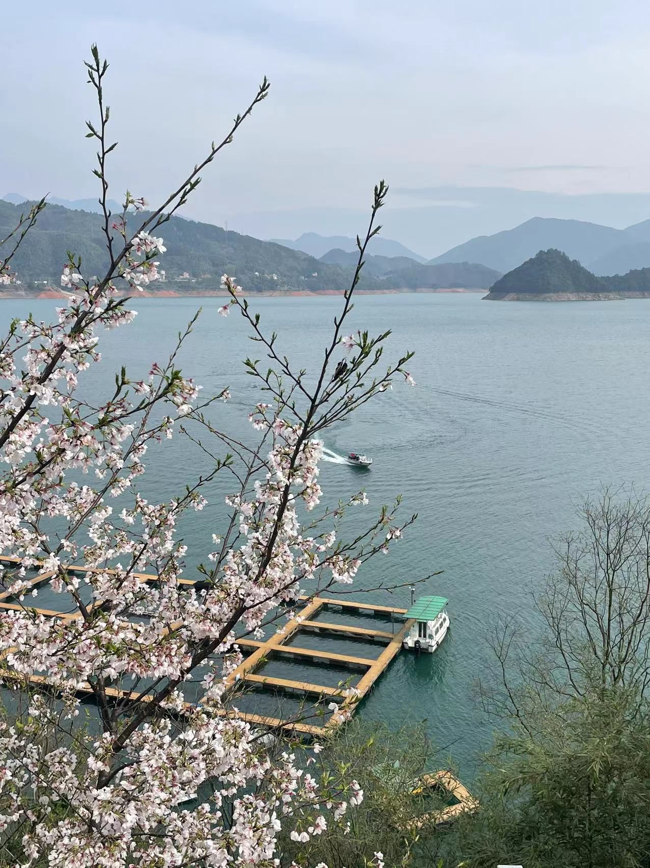 仙霞湖旅行图片 3