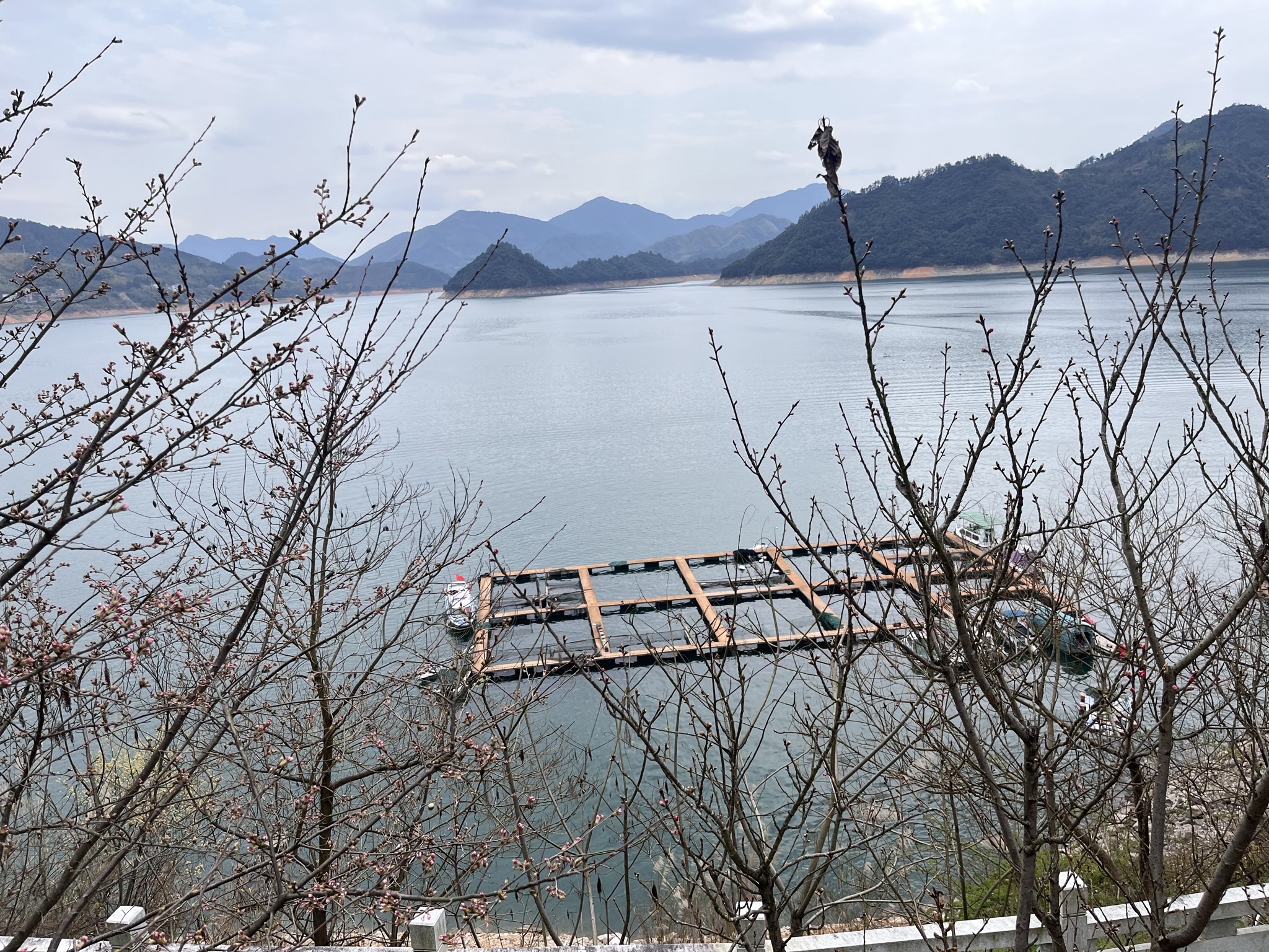 仙霞湖旅行图片 3