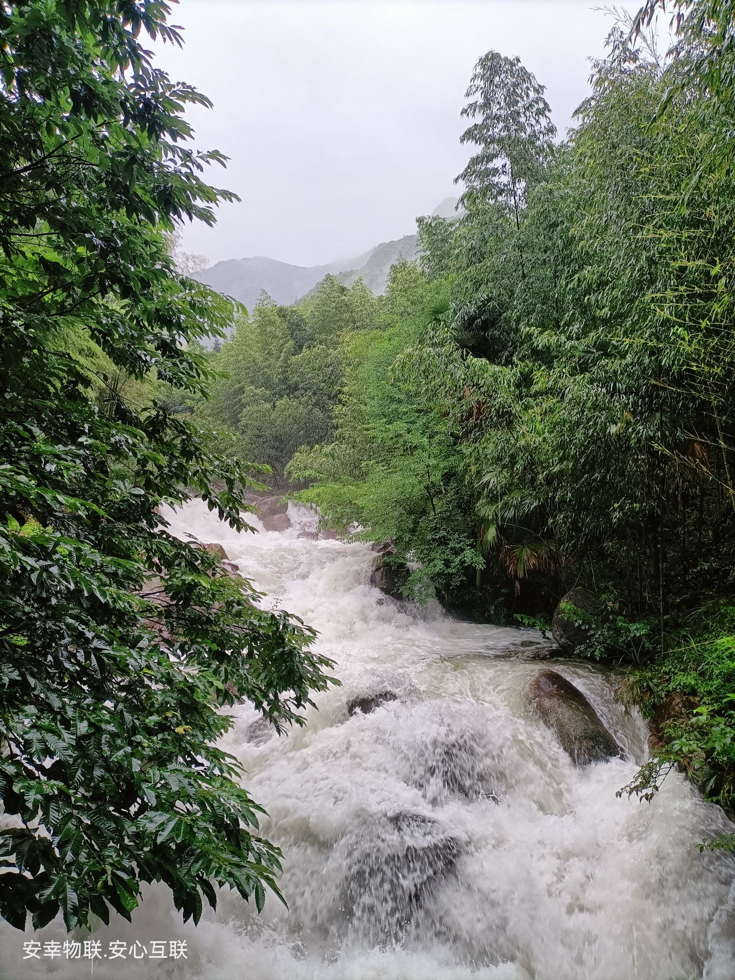 桃花源景区旅行图片 1