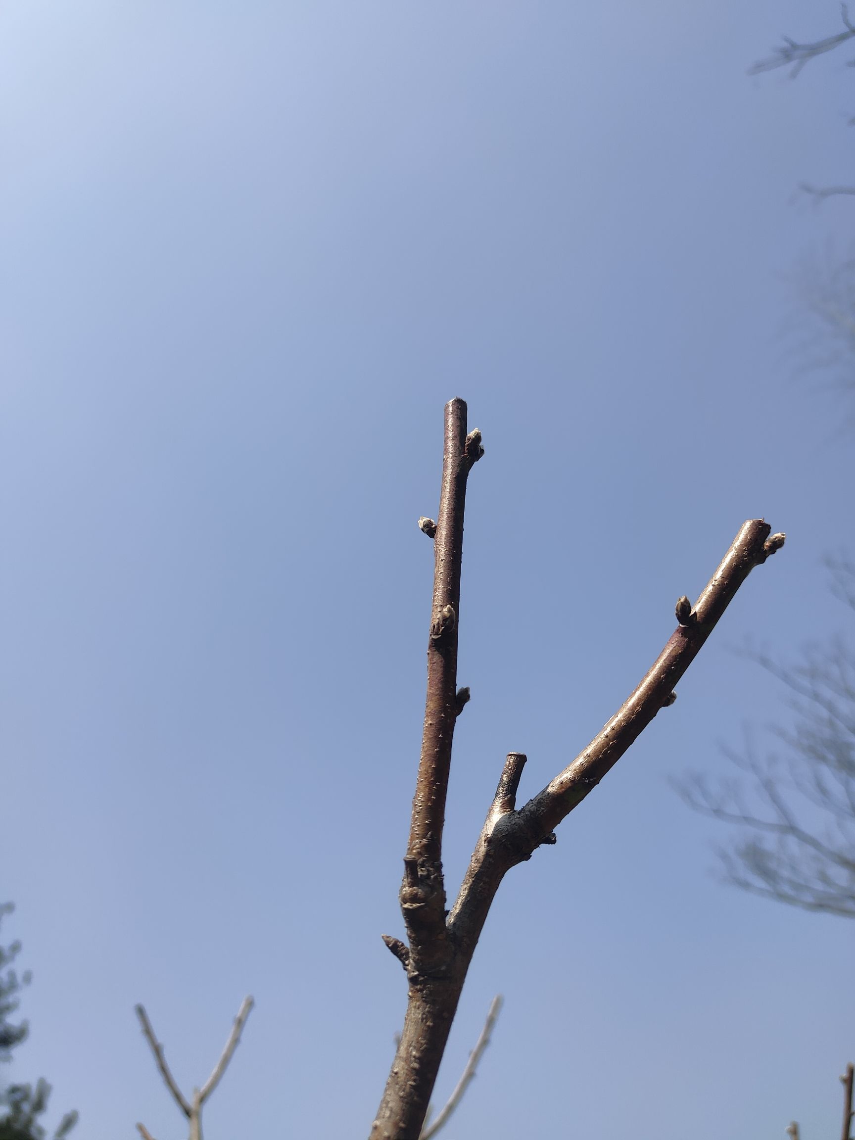 桃花源景区旅行图片 3