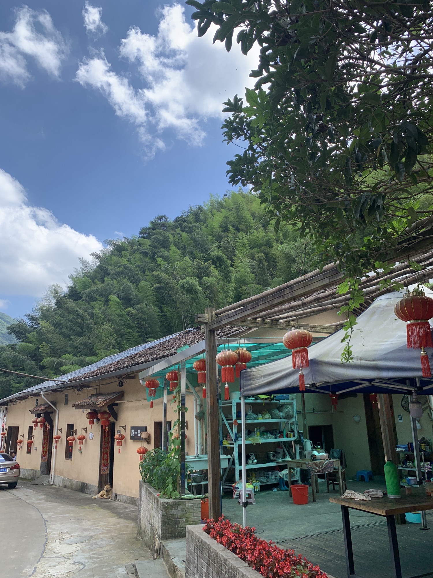 张西旅游景区