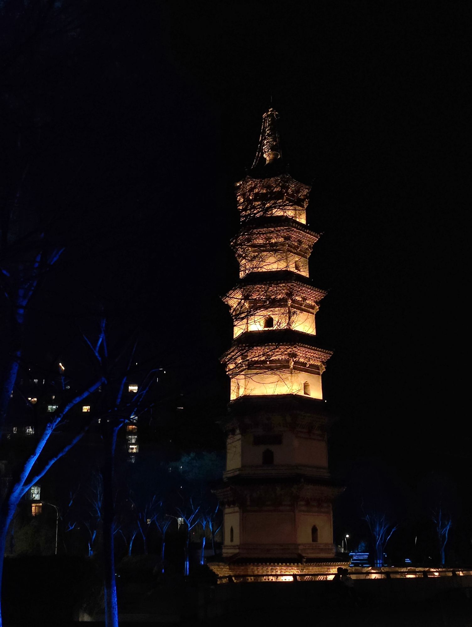 龙洲公园旅行图片 1