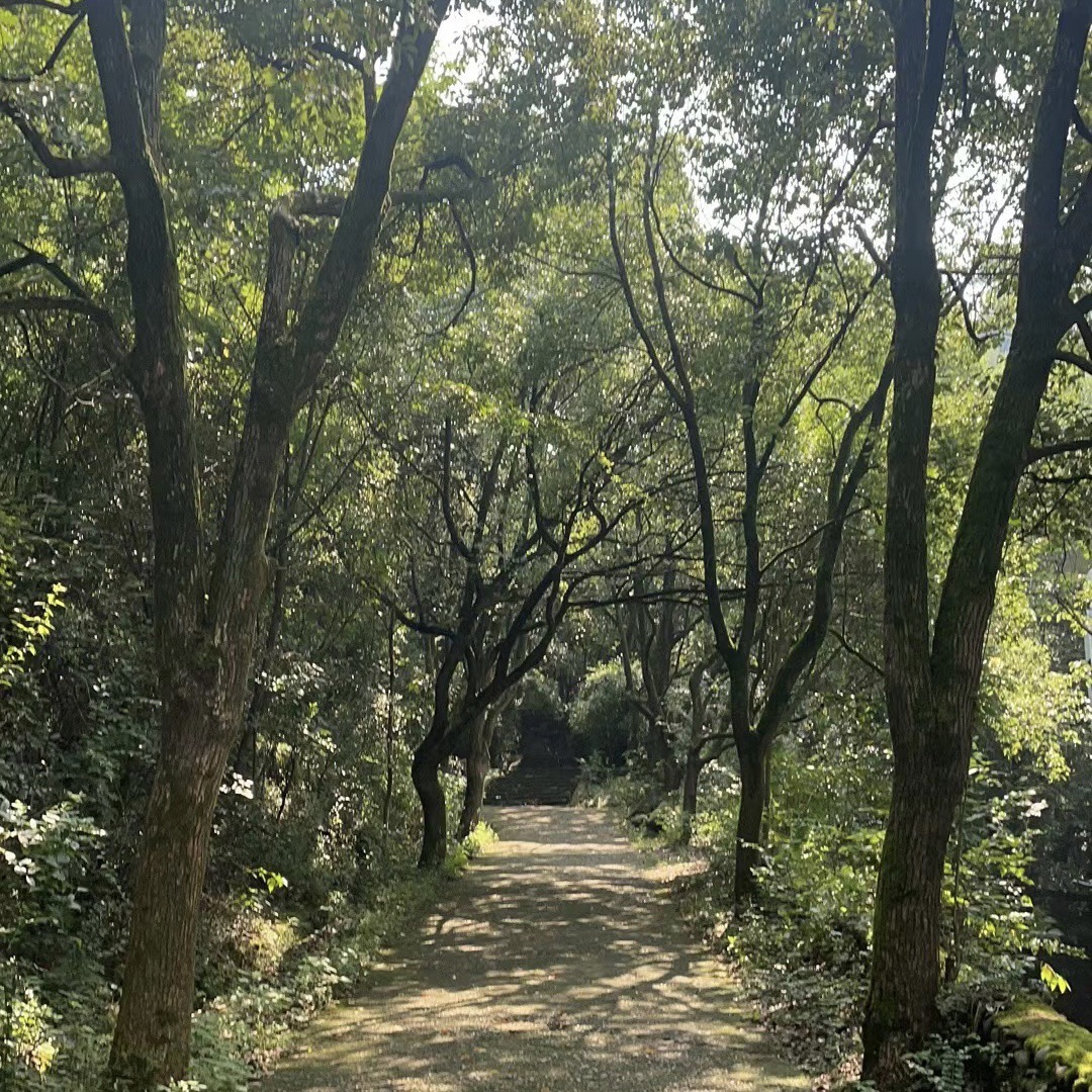 衢州市烂柯山风景区旅行图片 3