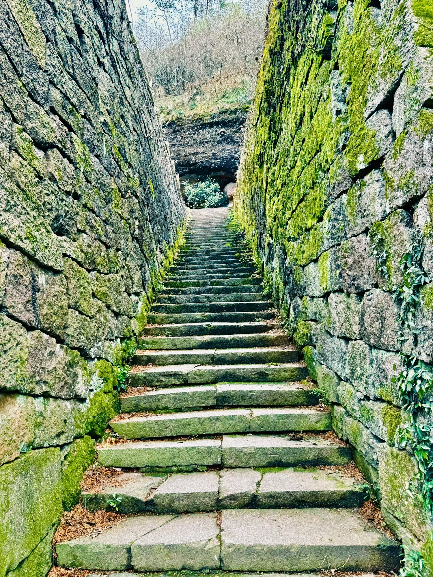 衢州市烂柯山风景区旅行图片 3