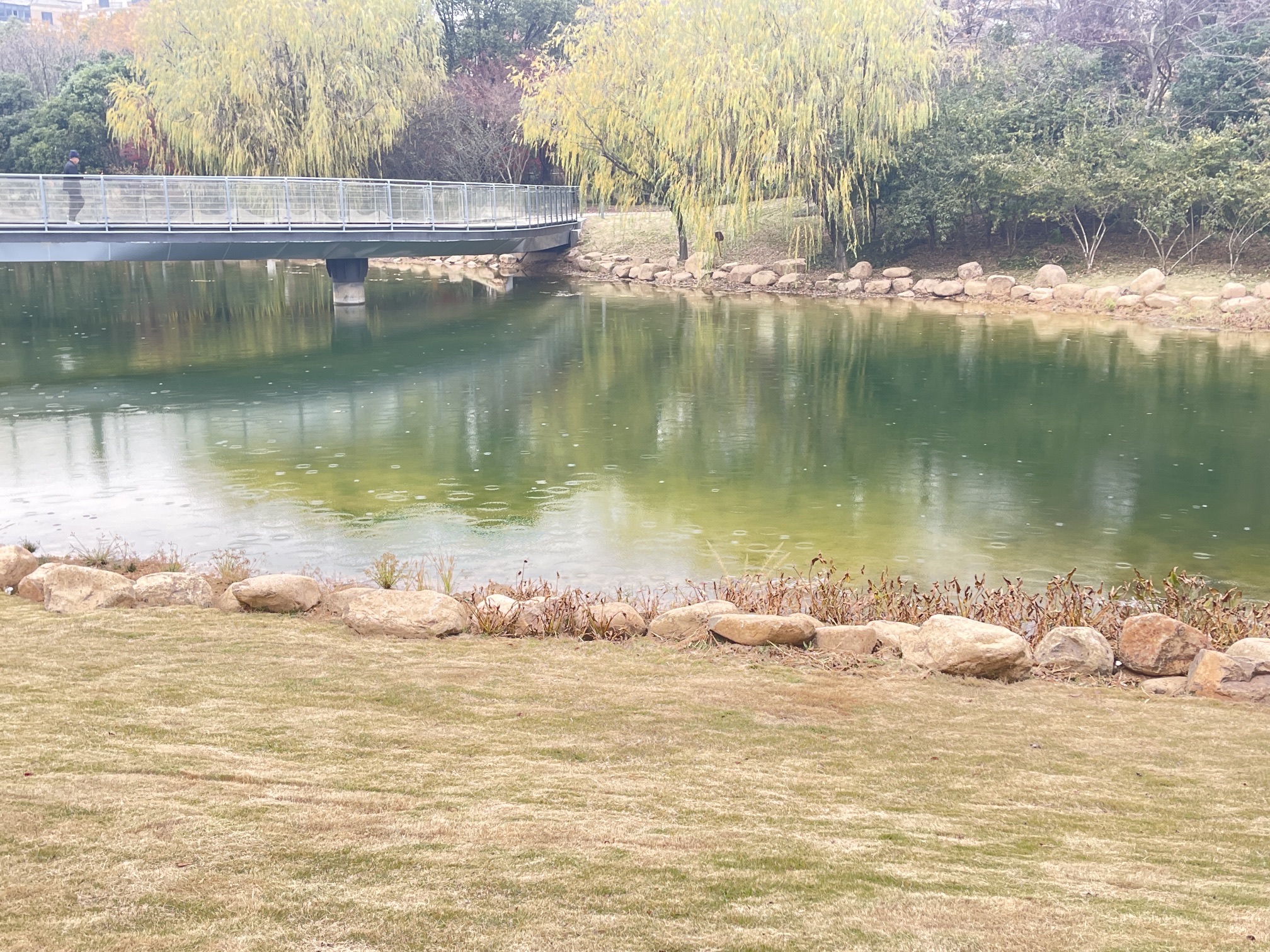 月亮湾公园旅行图片 2