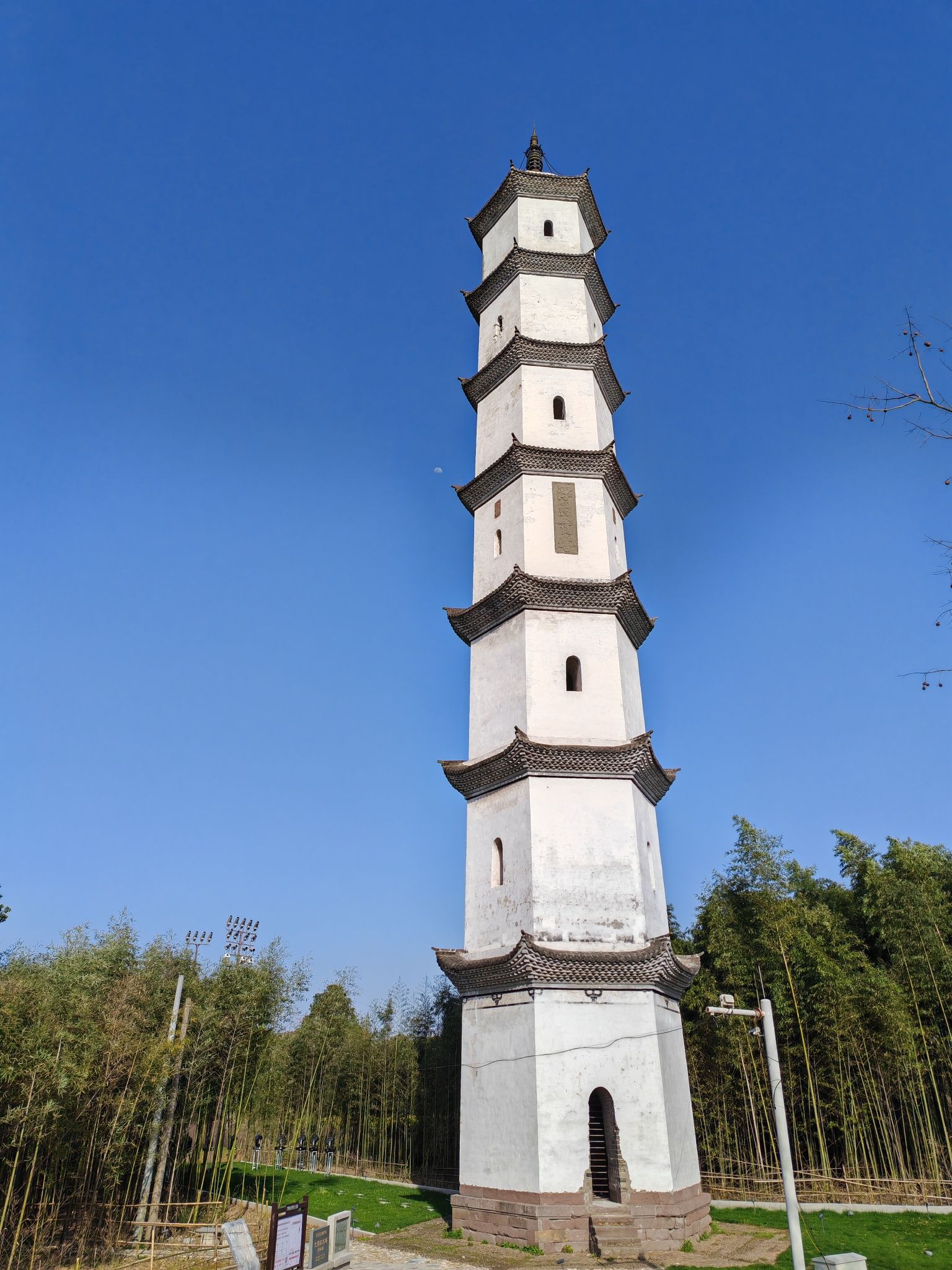 浮杯塔旅行图片 1