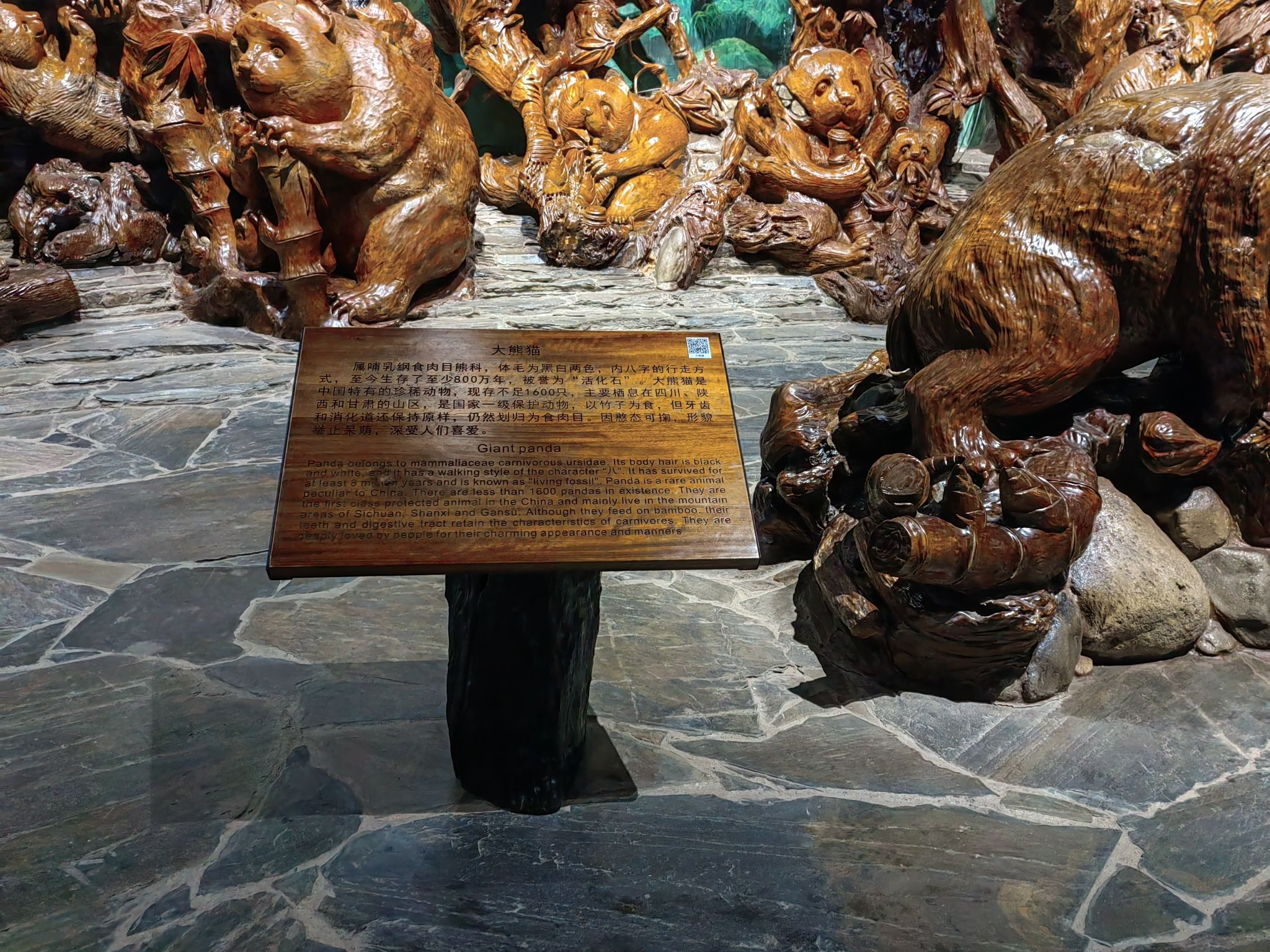 根宫佛国文化旅游区旅行图片 1