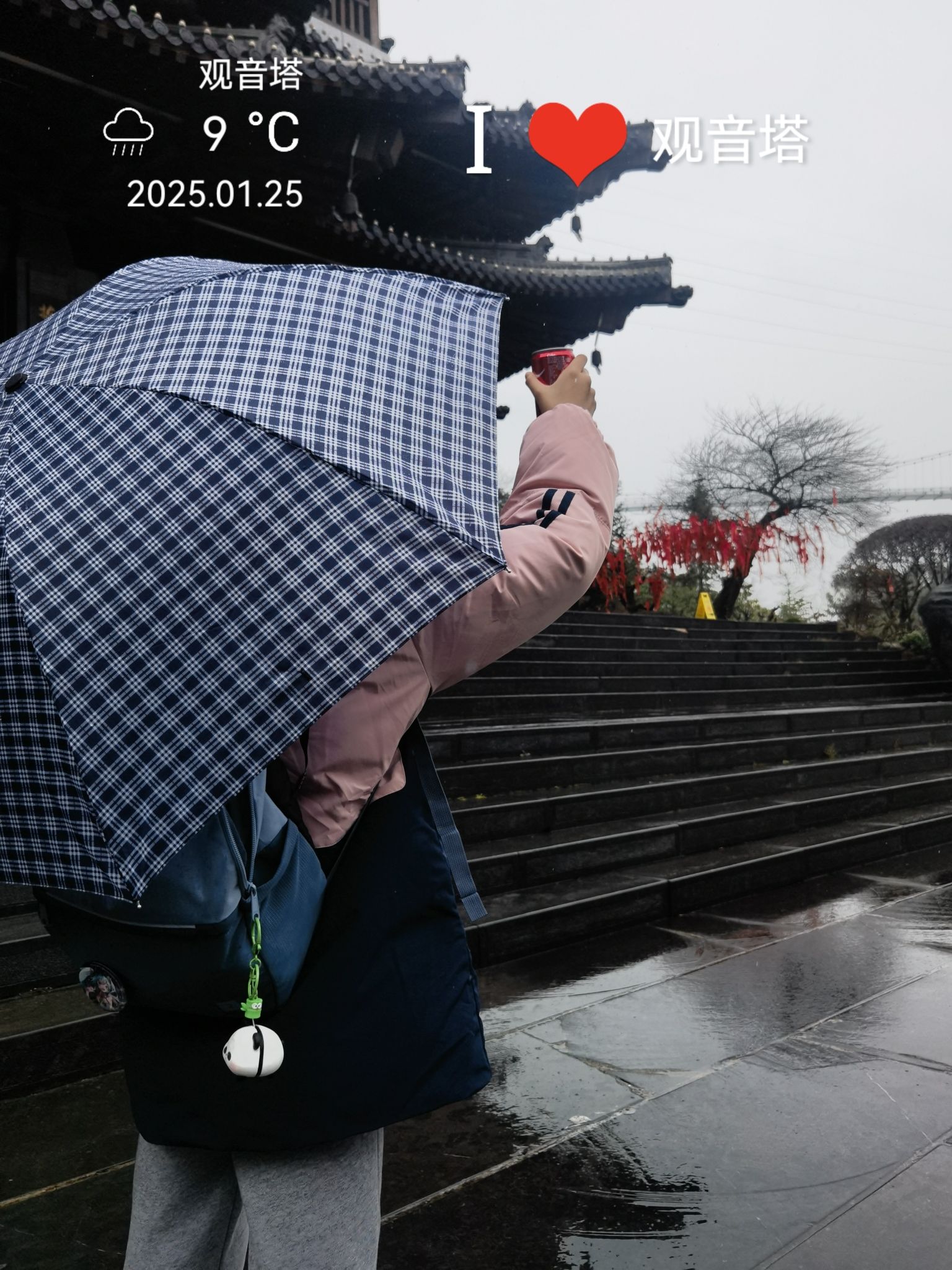 根宫佛国文化旅游区旅行图片 1