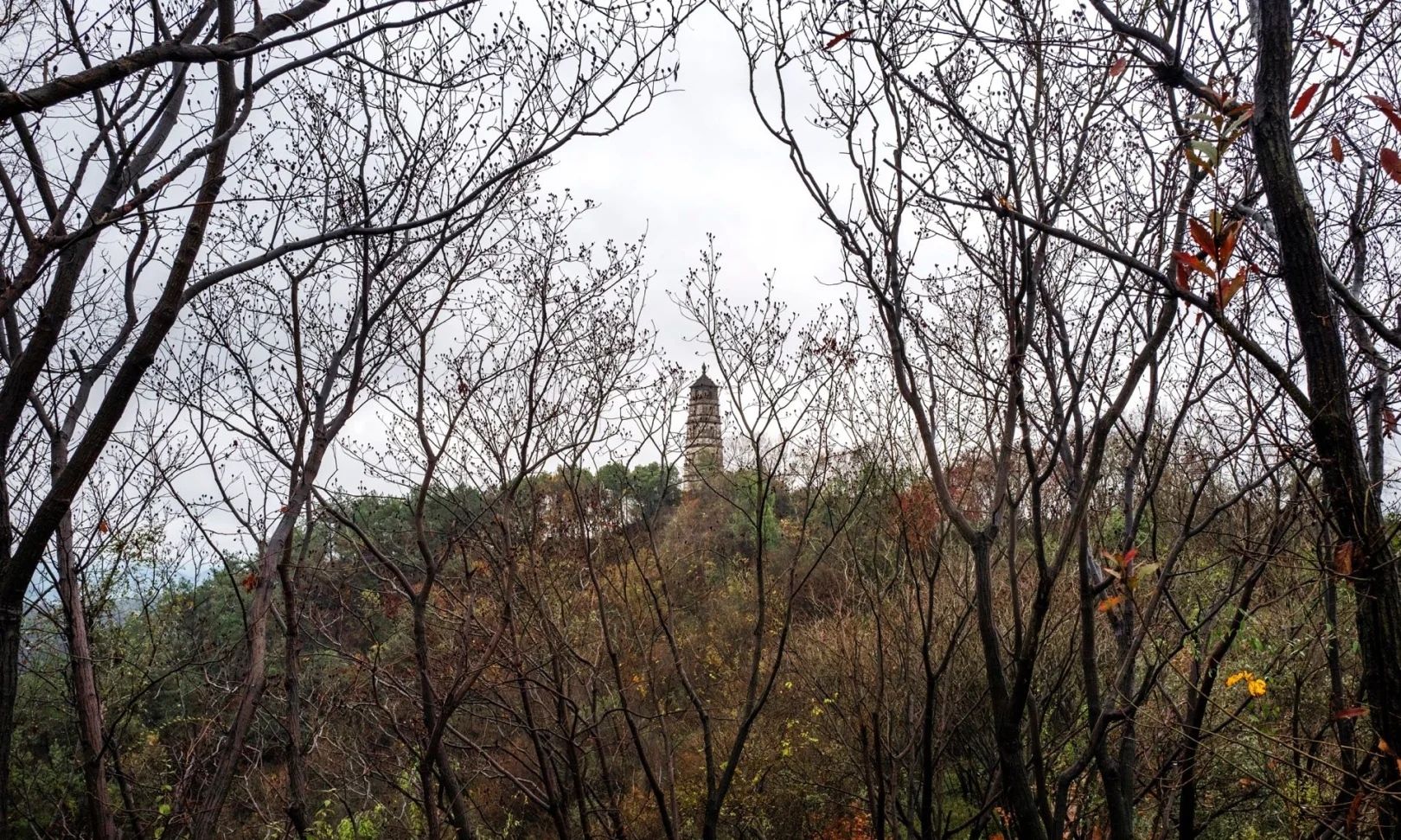 功臣塔旅行图片 3