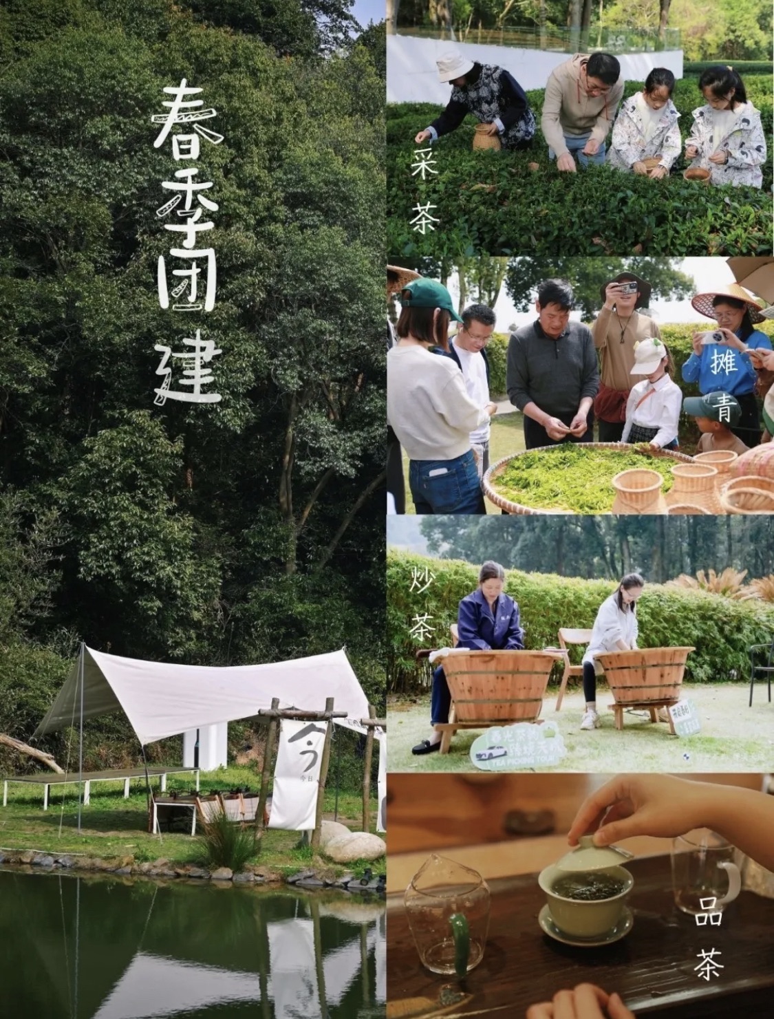 午潮山国家森林公园旅行图片 1