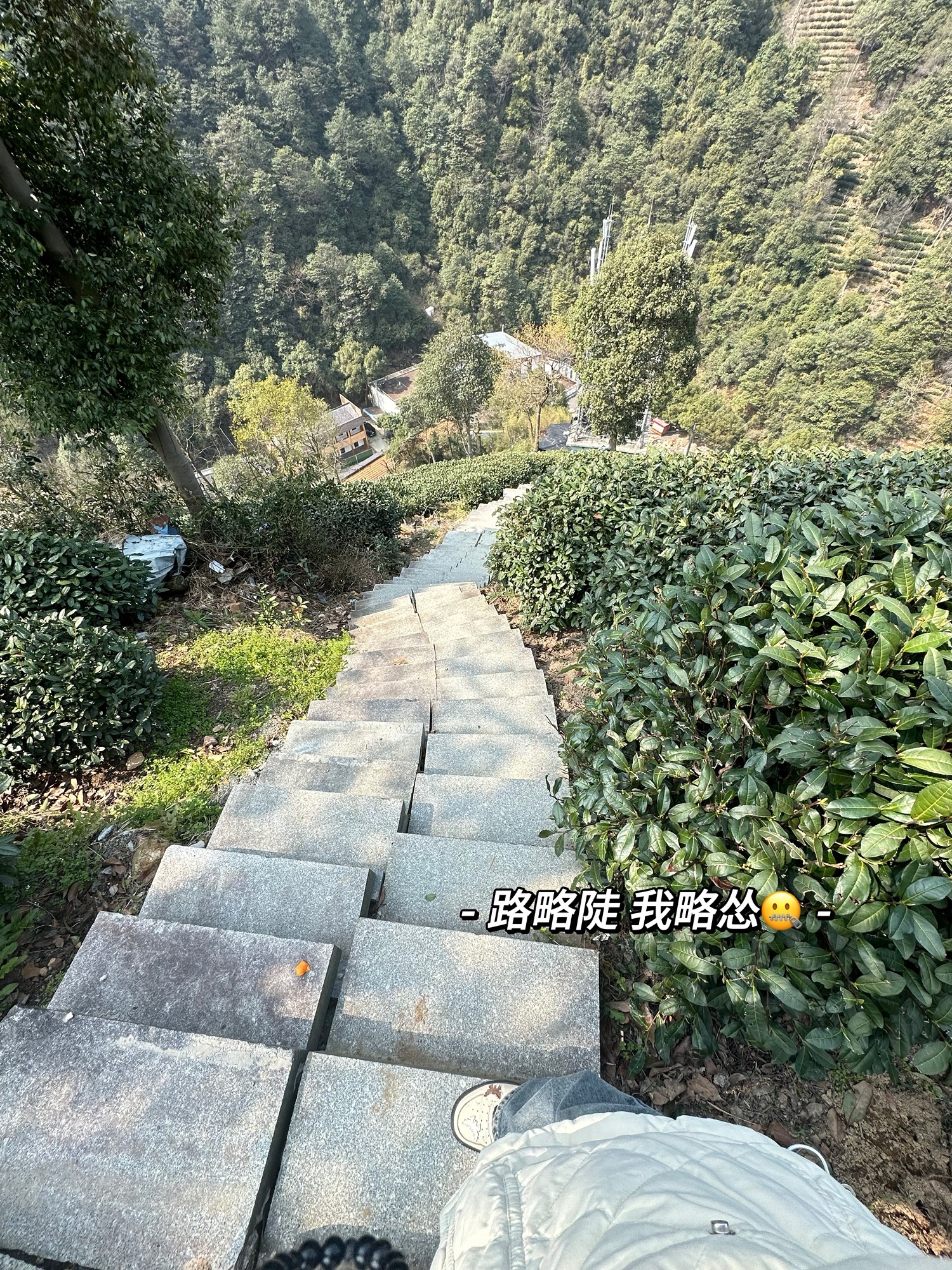 午潮山国家森林公园旅行图片 1