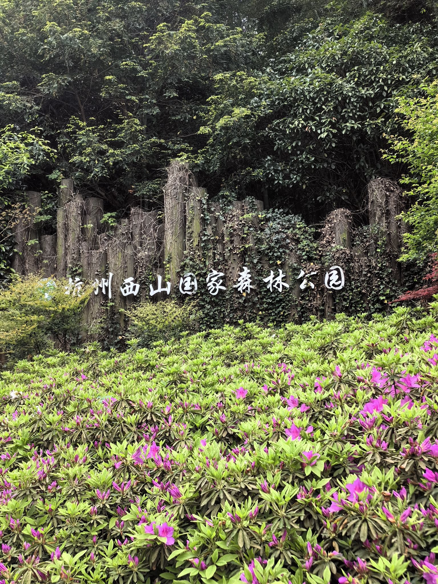 午潮山国家森林公园旅行图片 2