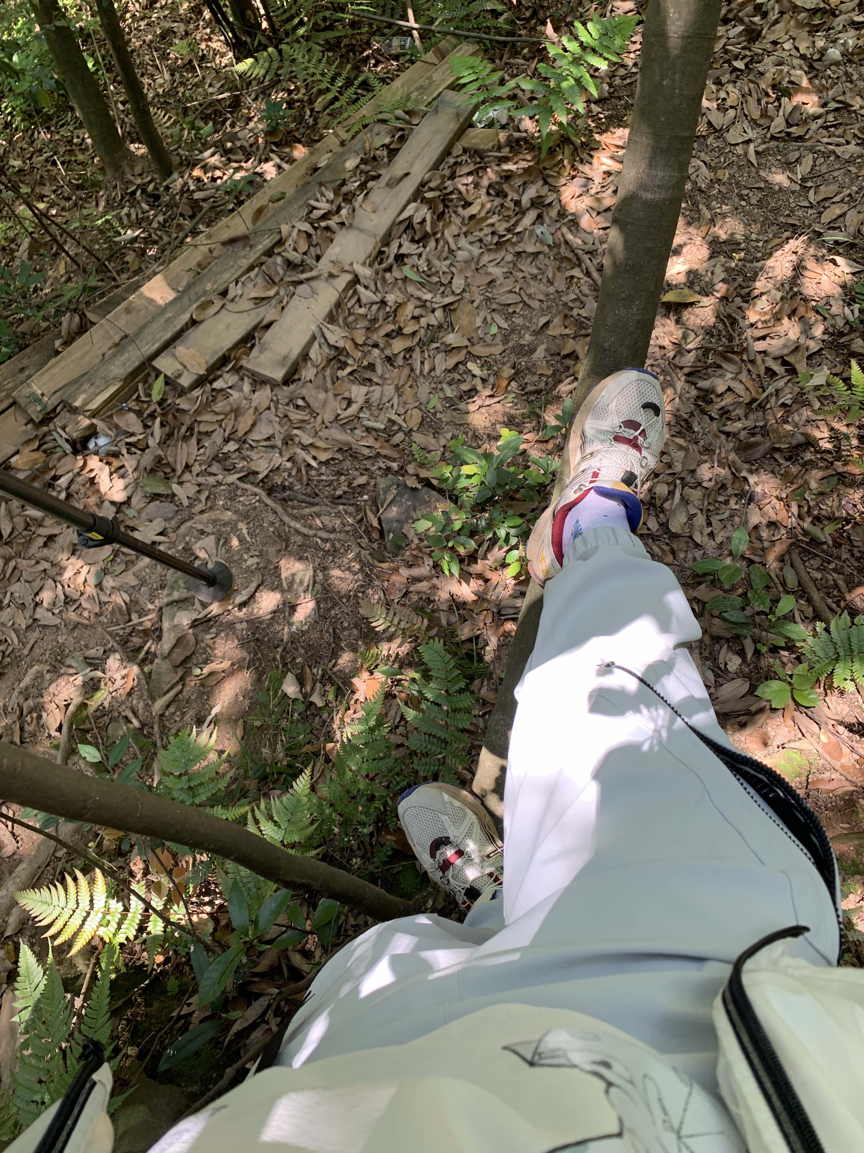 午潮山国家森林公园旅行图片 2