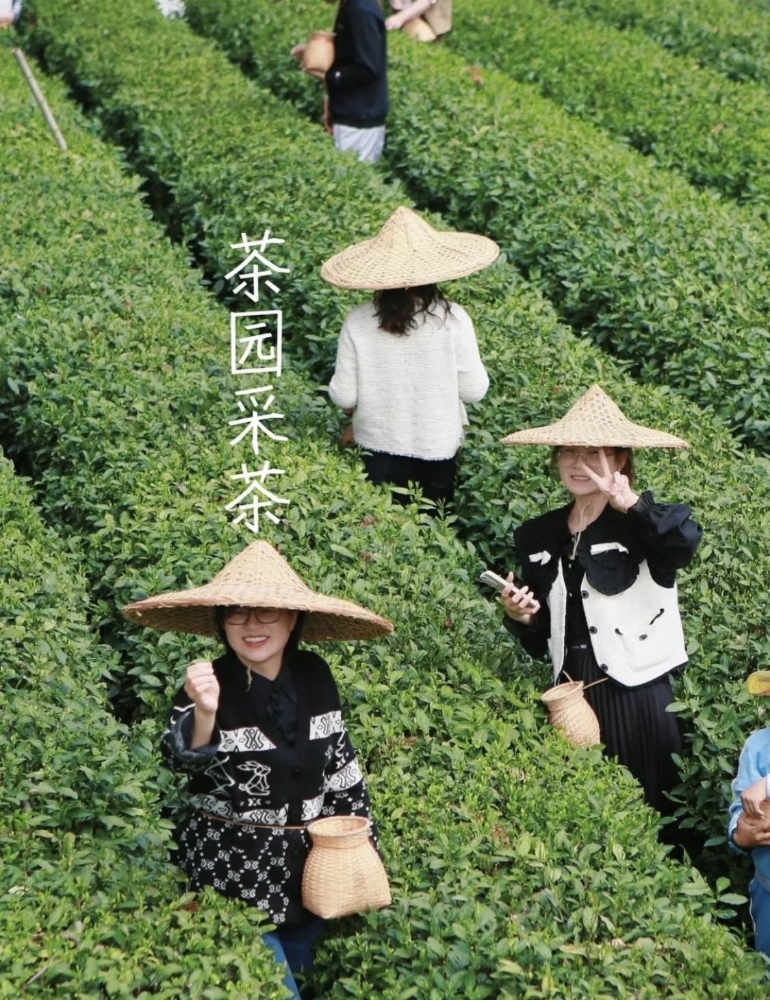 午潮山国家森林公园旅行图片 2