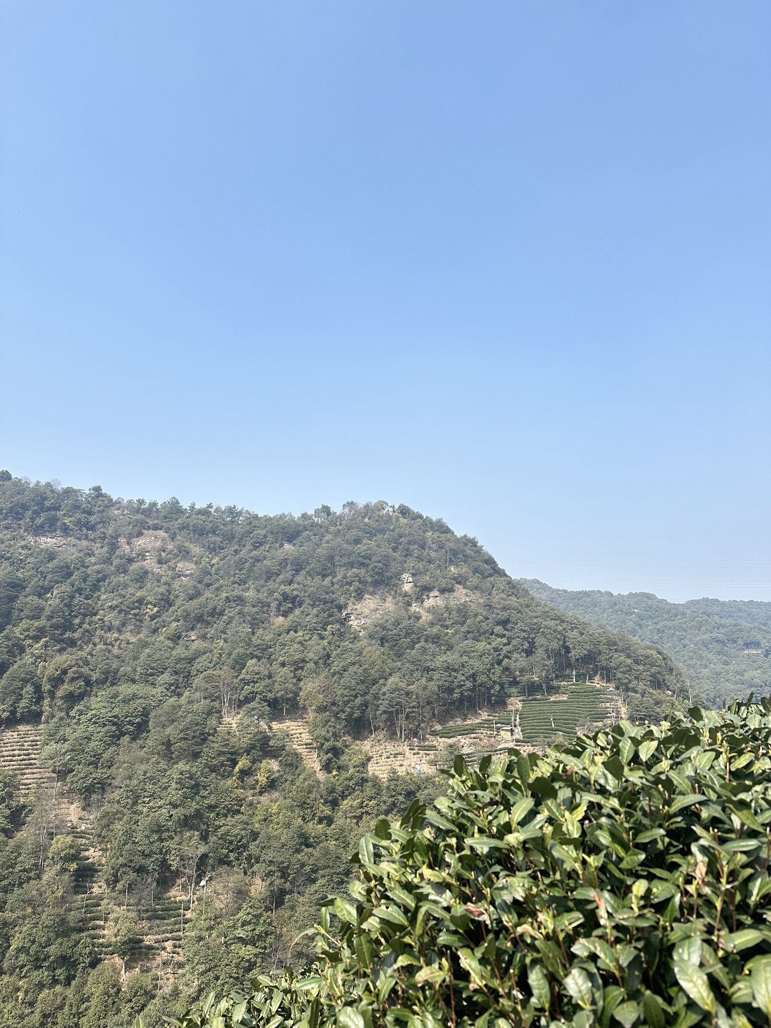 午潮山国家森林公园旅行图片 2