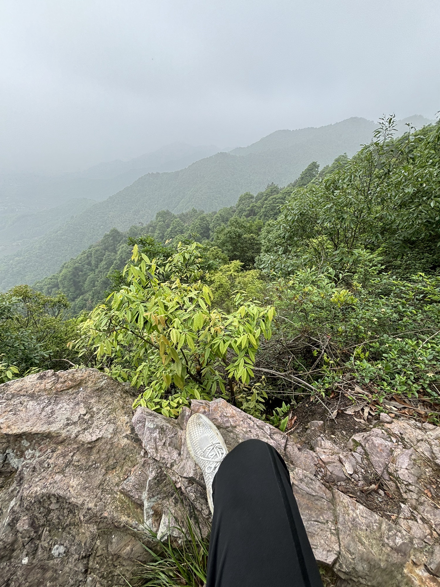 午潮山国家森林公园旅行图片 3