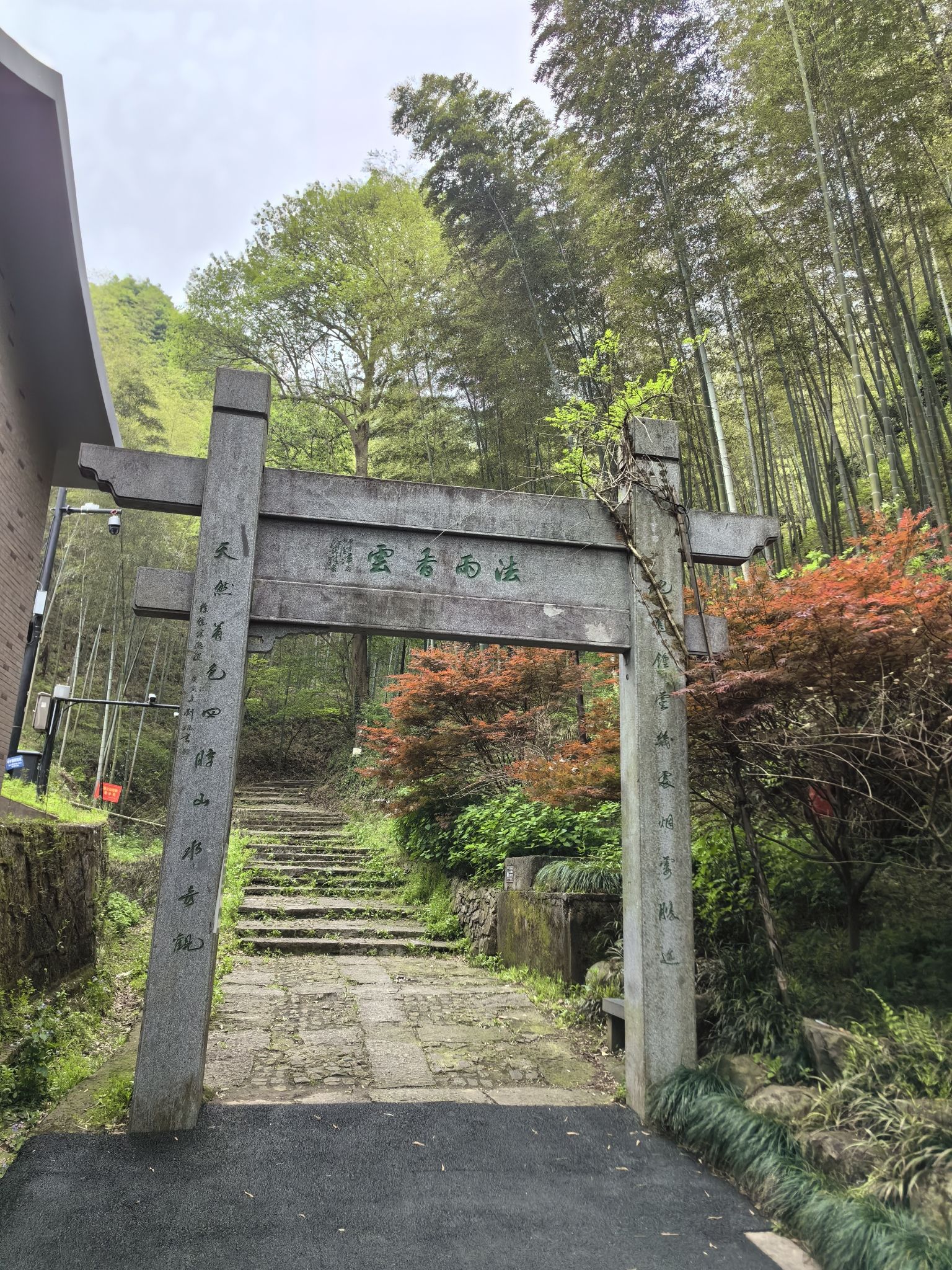 午潮山国家森林公园旅行图片 3
