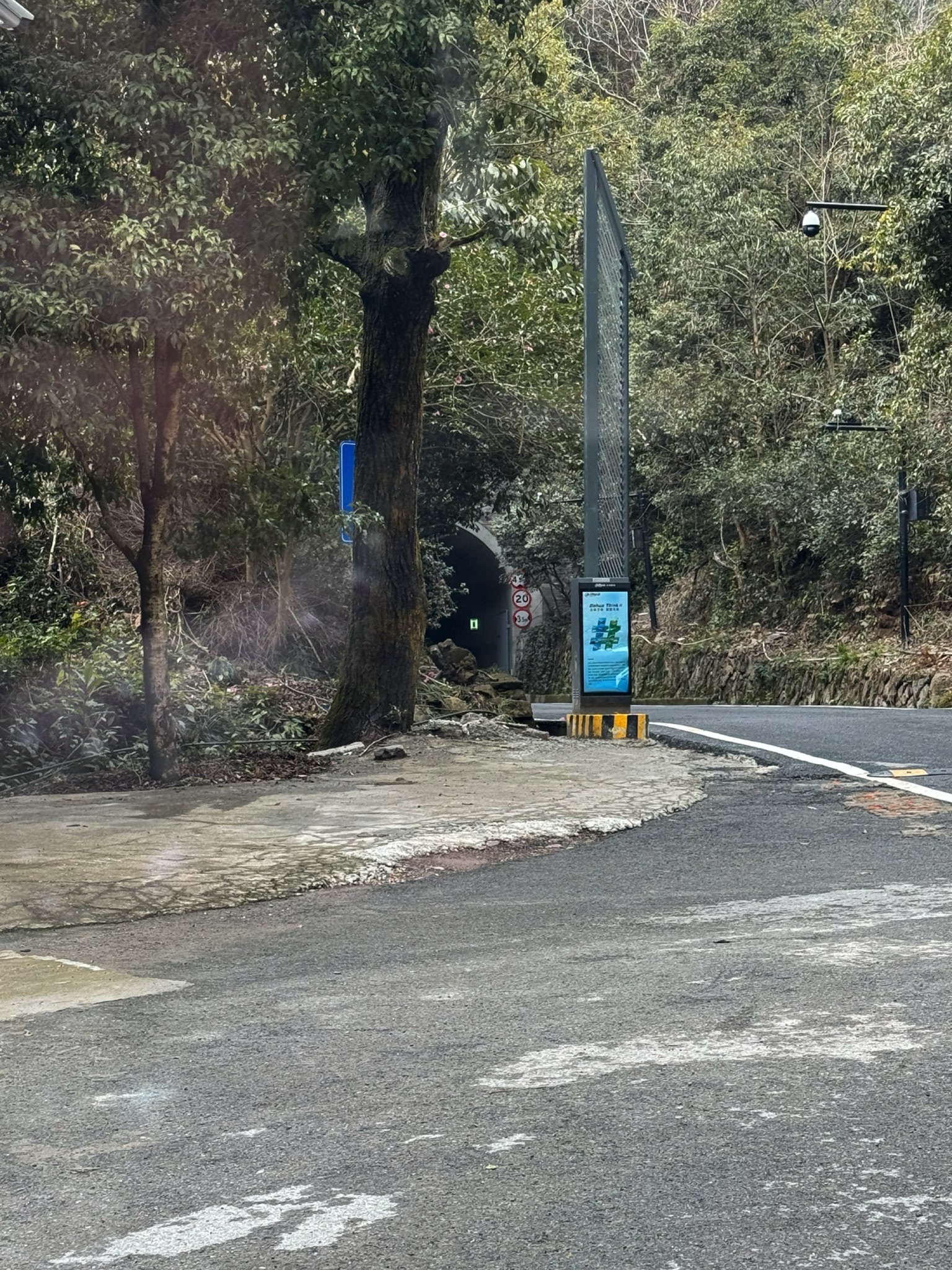 新安江森林公园旅行图片 1