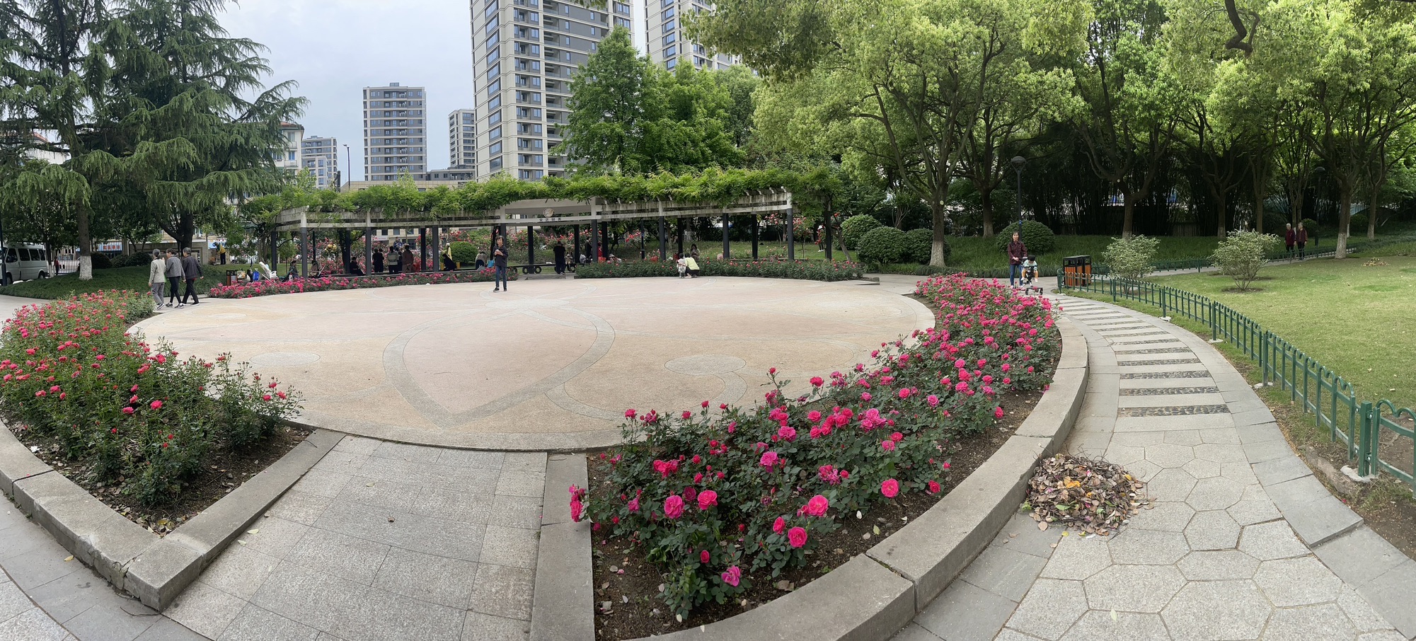 大关公园旅行图片 2